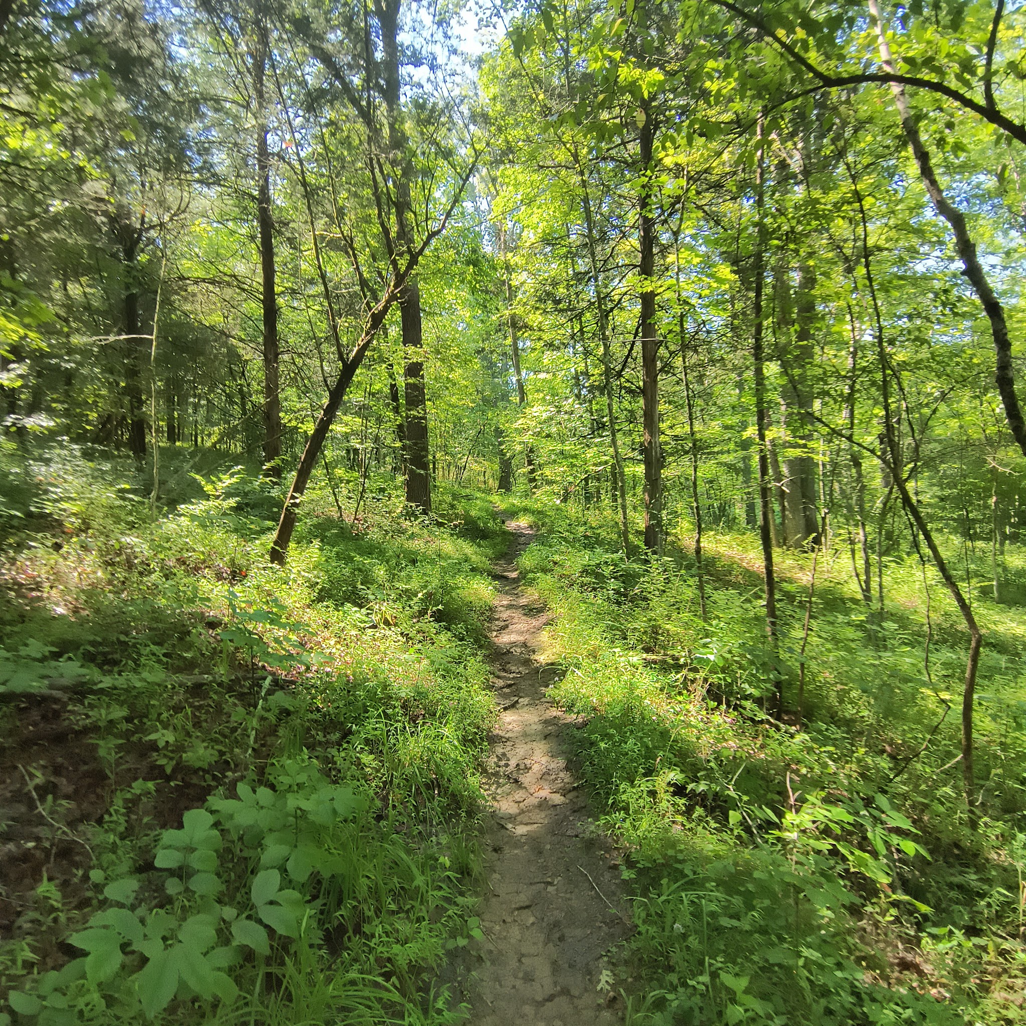 Kincaid Lake State Park