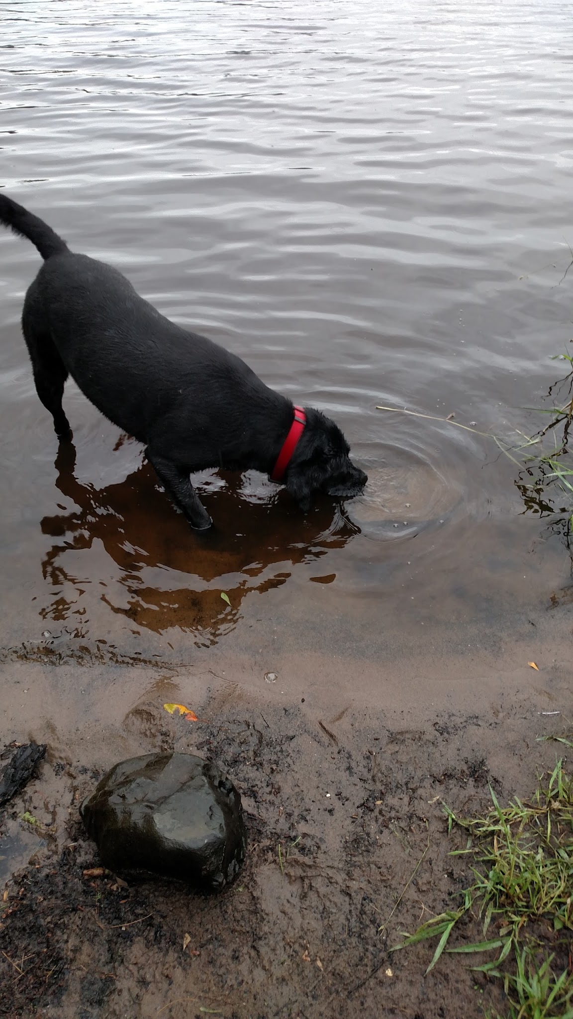 King Lake State Forest Campground