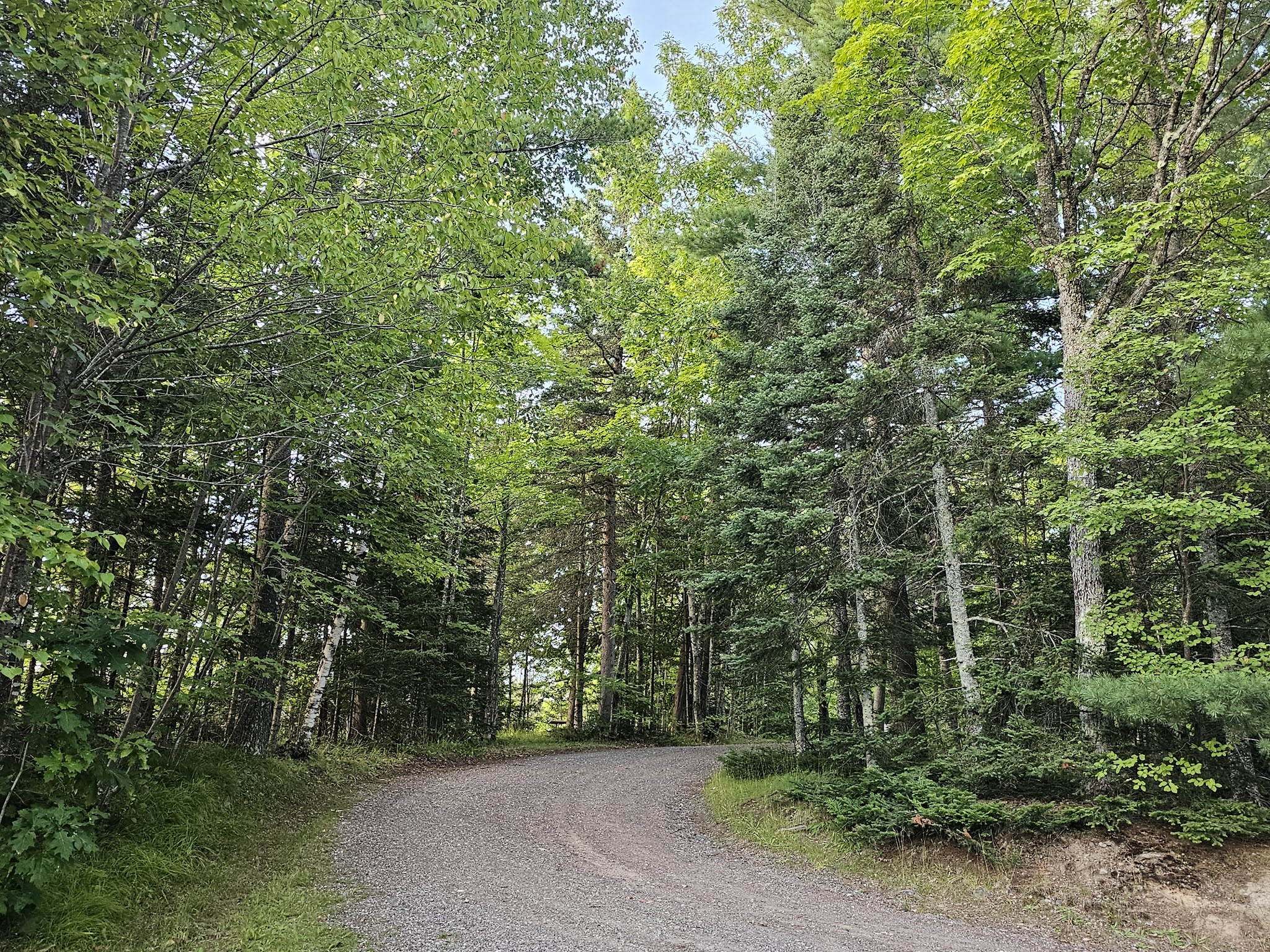 King Lake State Forest Campground