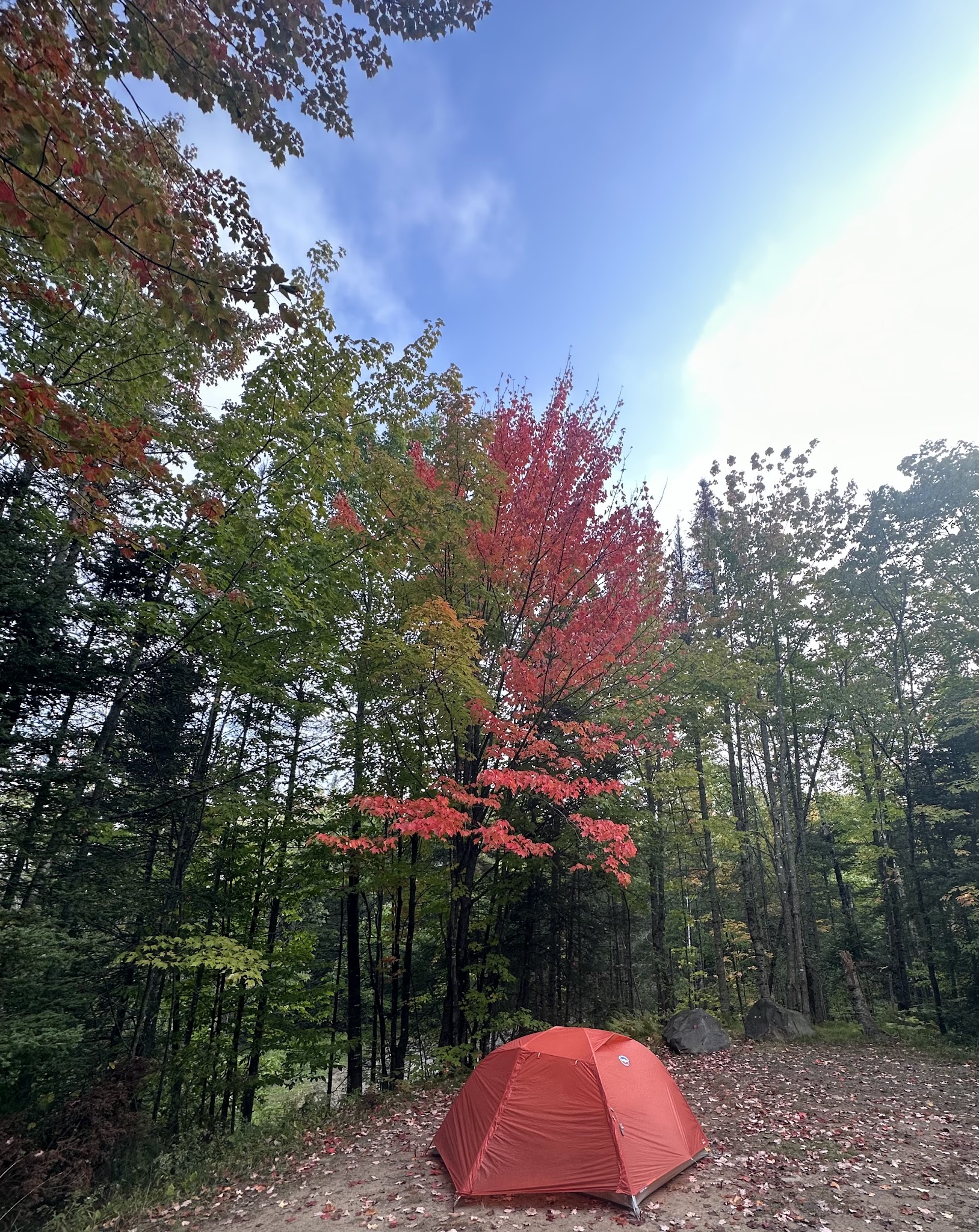 King Lake State Forest Campground