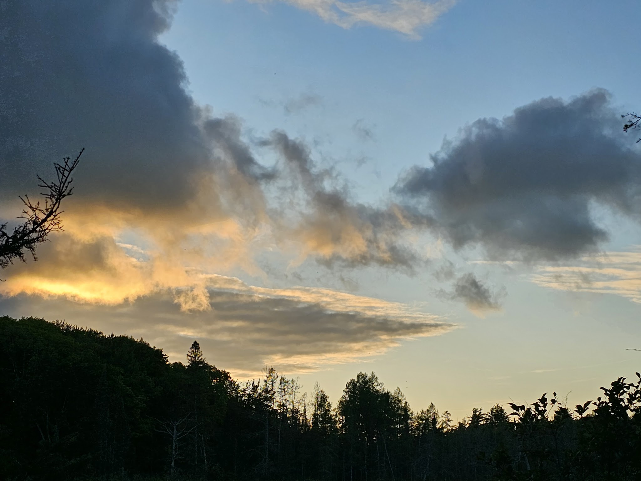 King Lake State Forest Campground