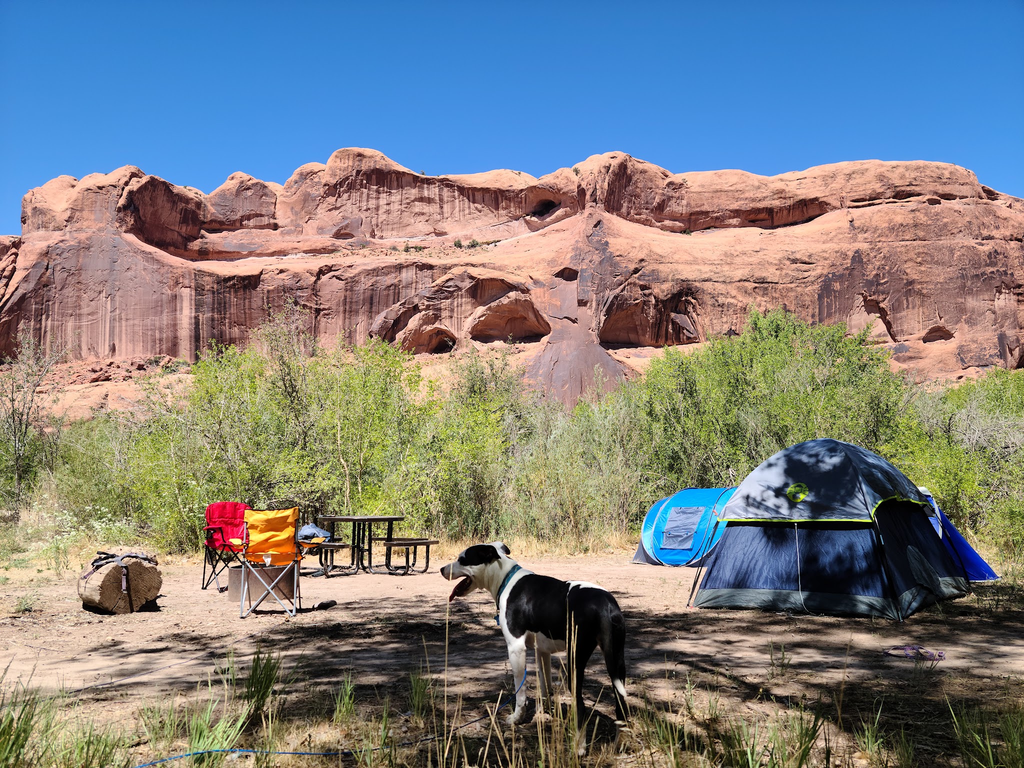 King'S Bottom Campground