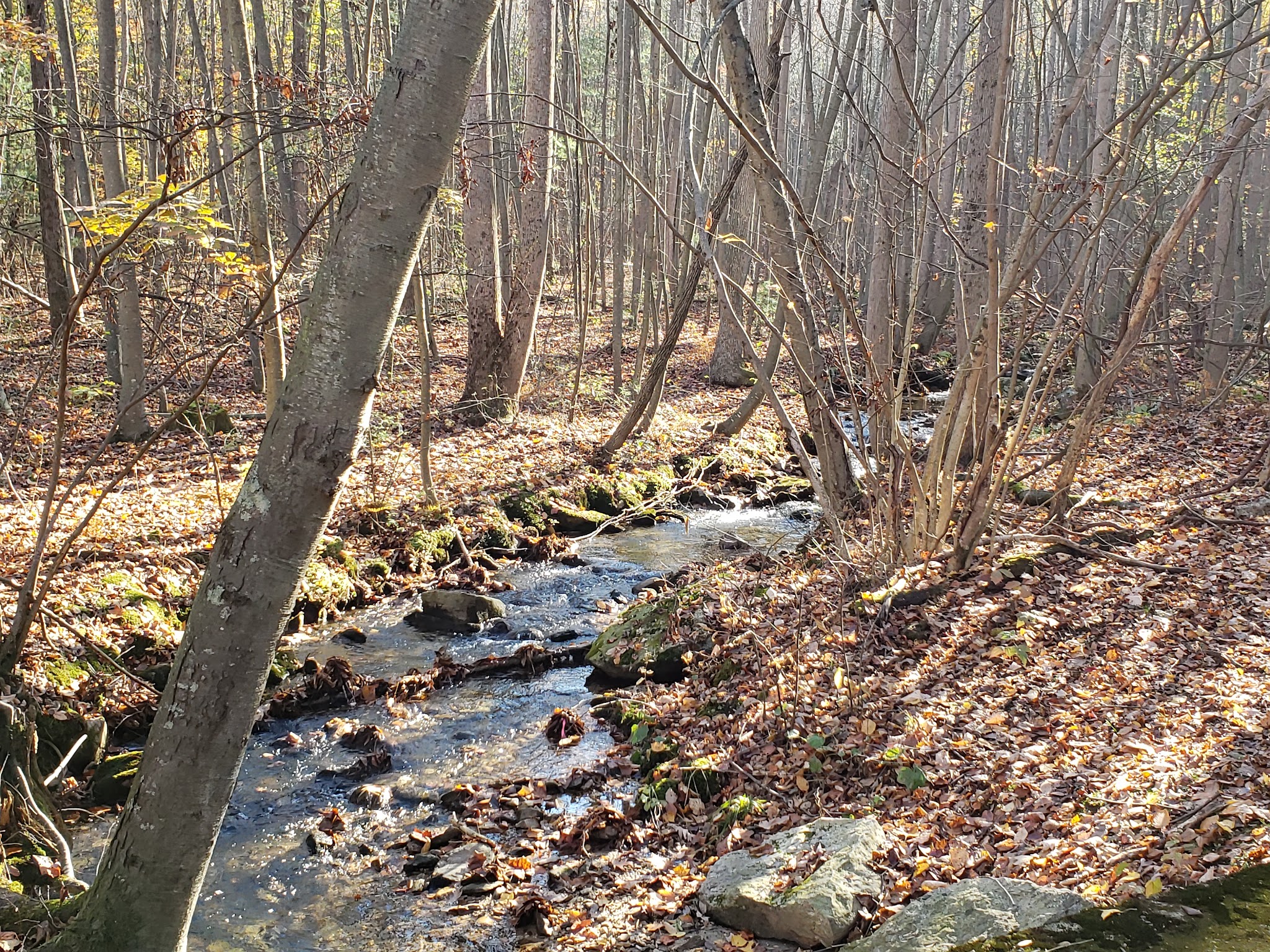 Kings Gap Environmental Education Center