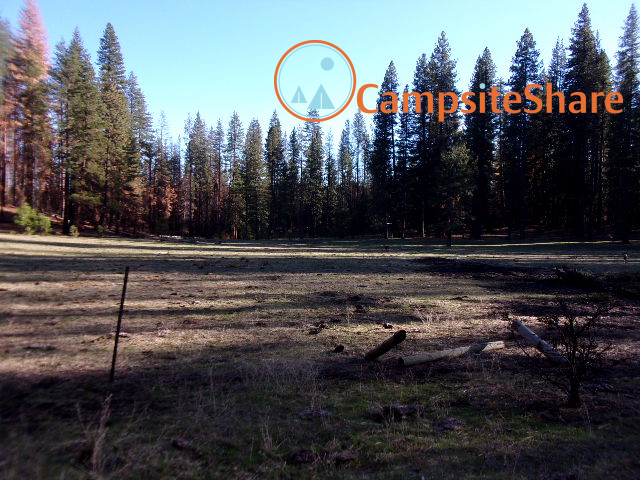 Kingsley Glade Campground