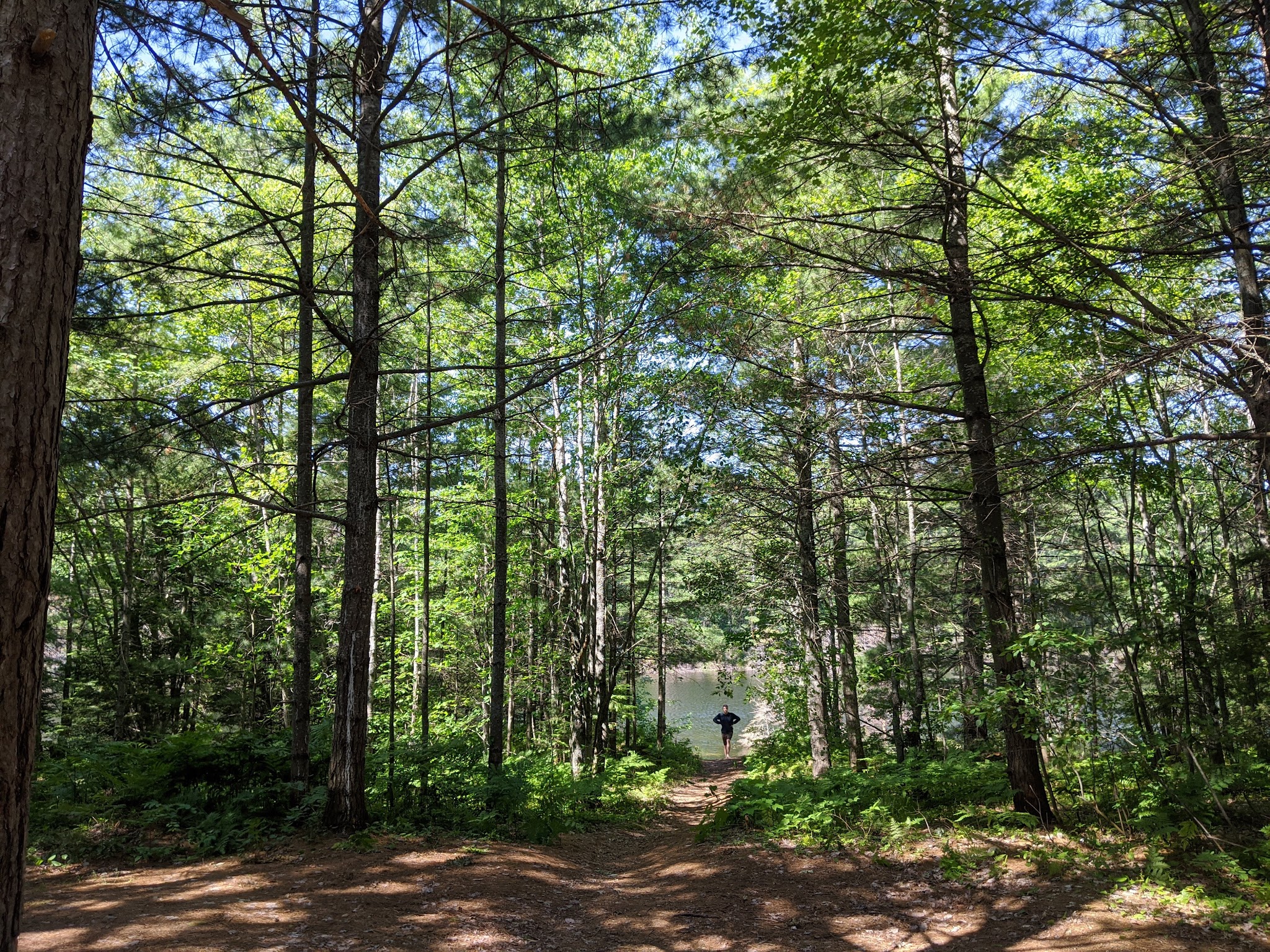 Kingston Lake State Forest Campground