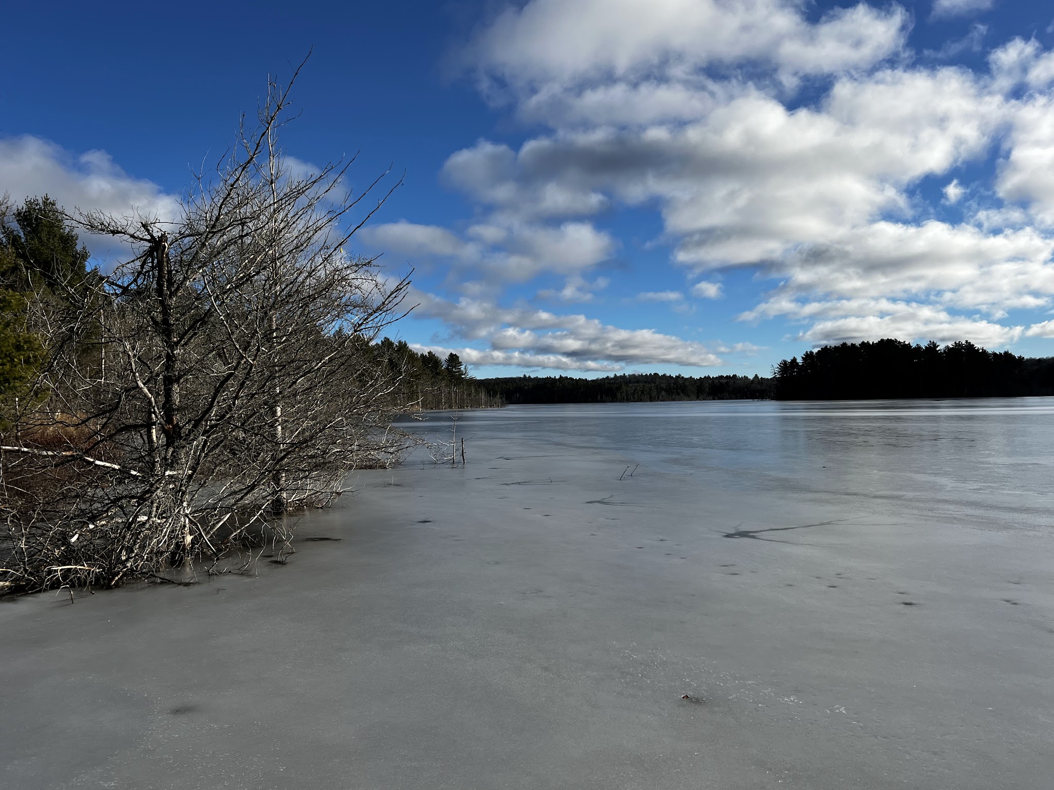 Kingston Lake State Forest Campground
