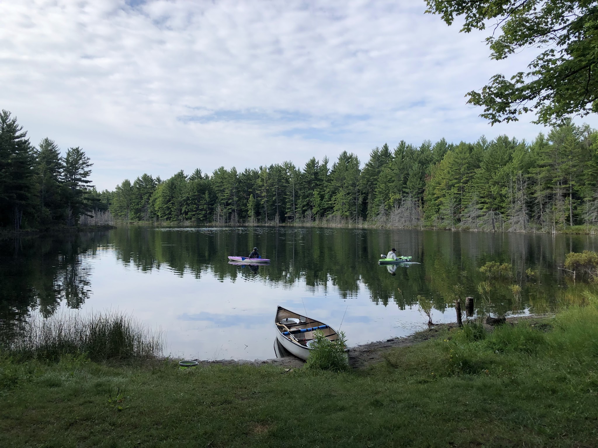 Kingston Lake State Forest Campground