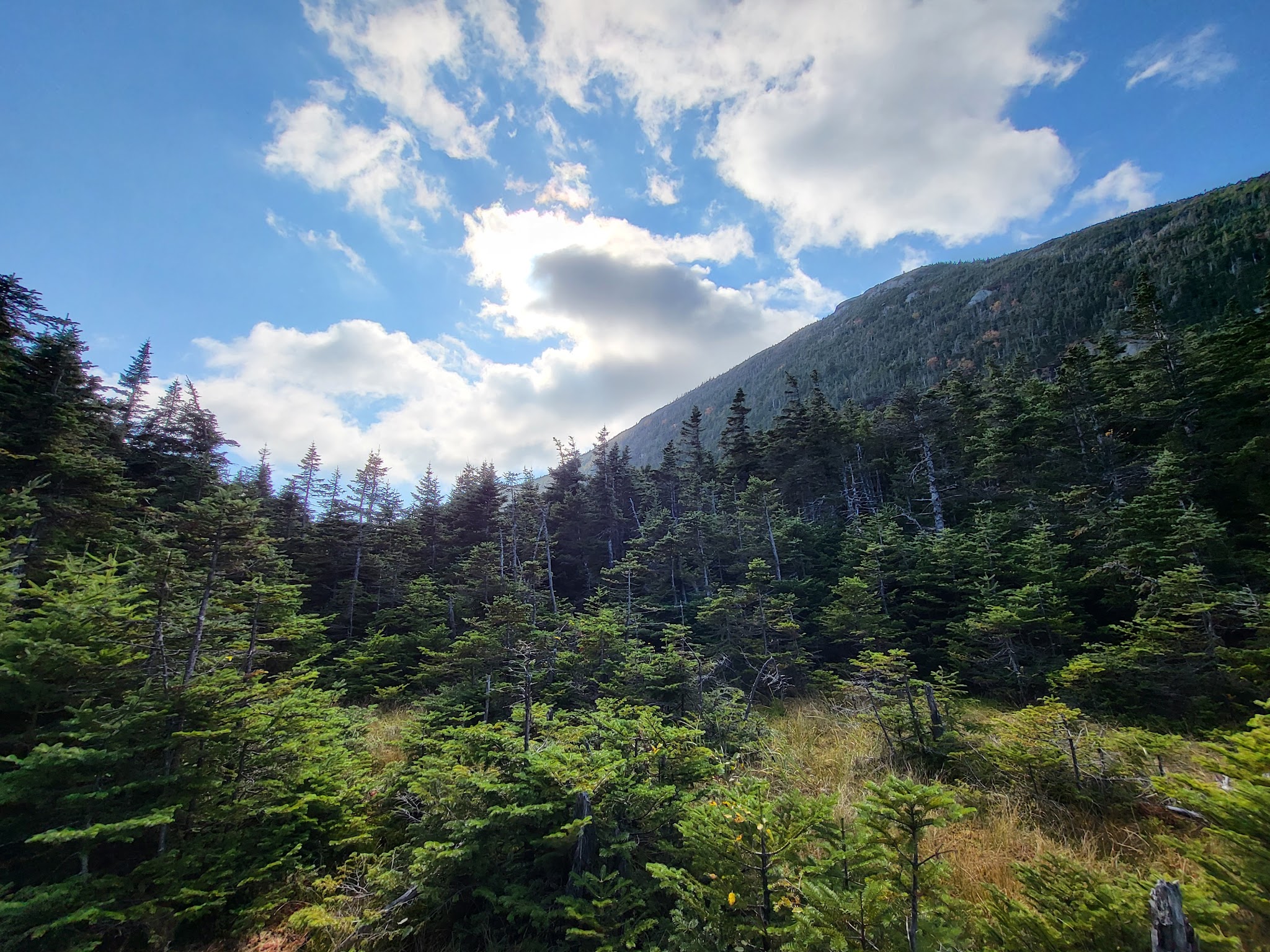 Kinsman Pond Shelter