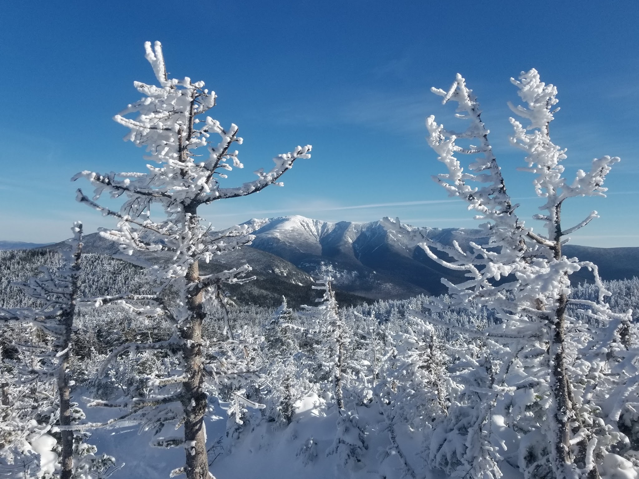 Kinsman Pond Shelter