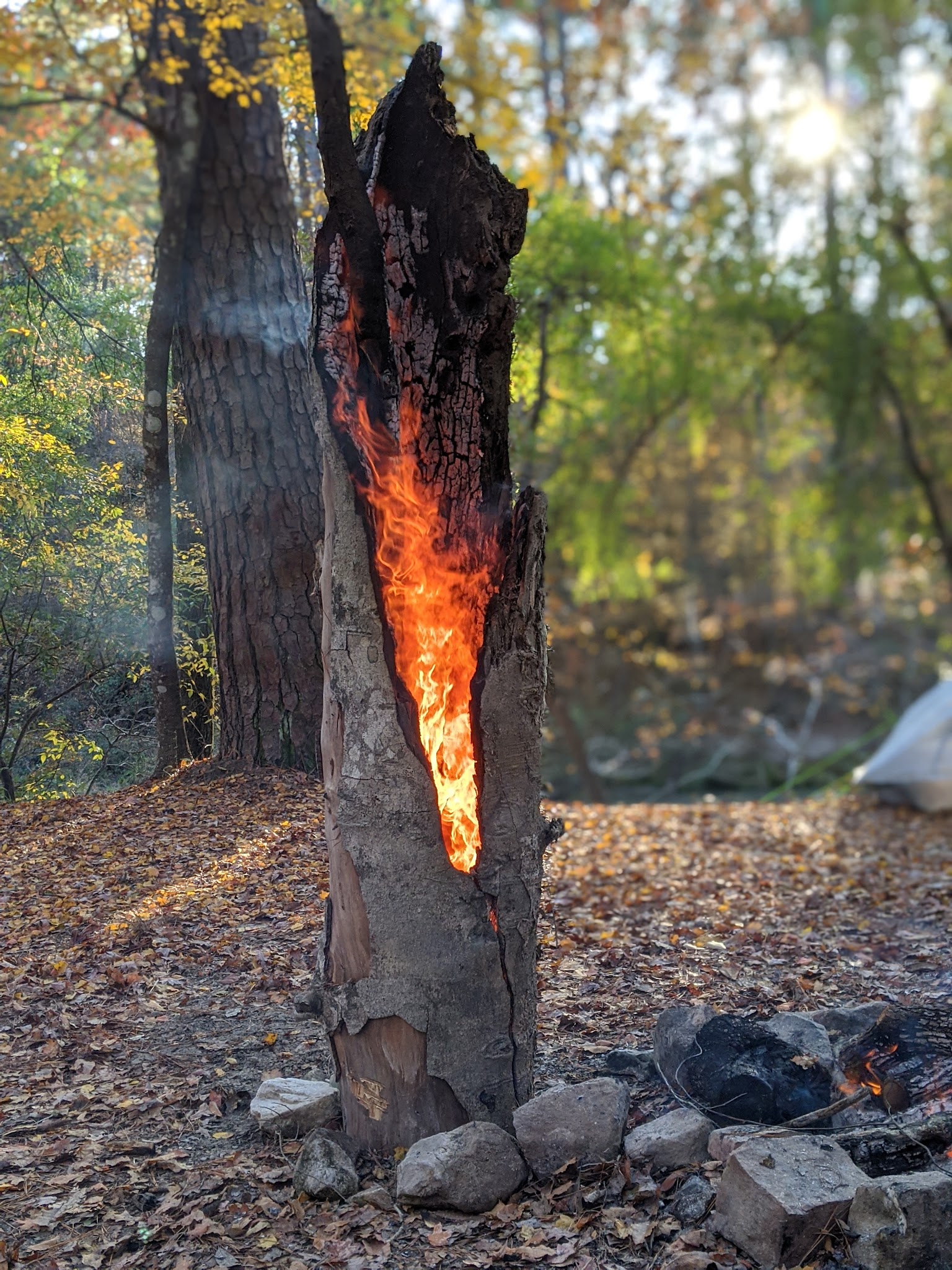 Kisatchie Bayou Recreation Area