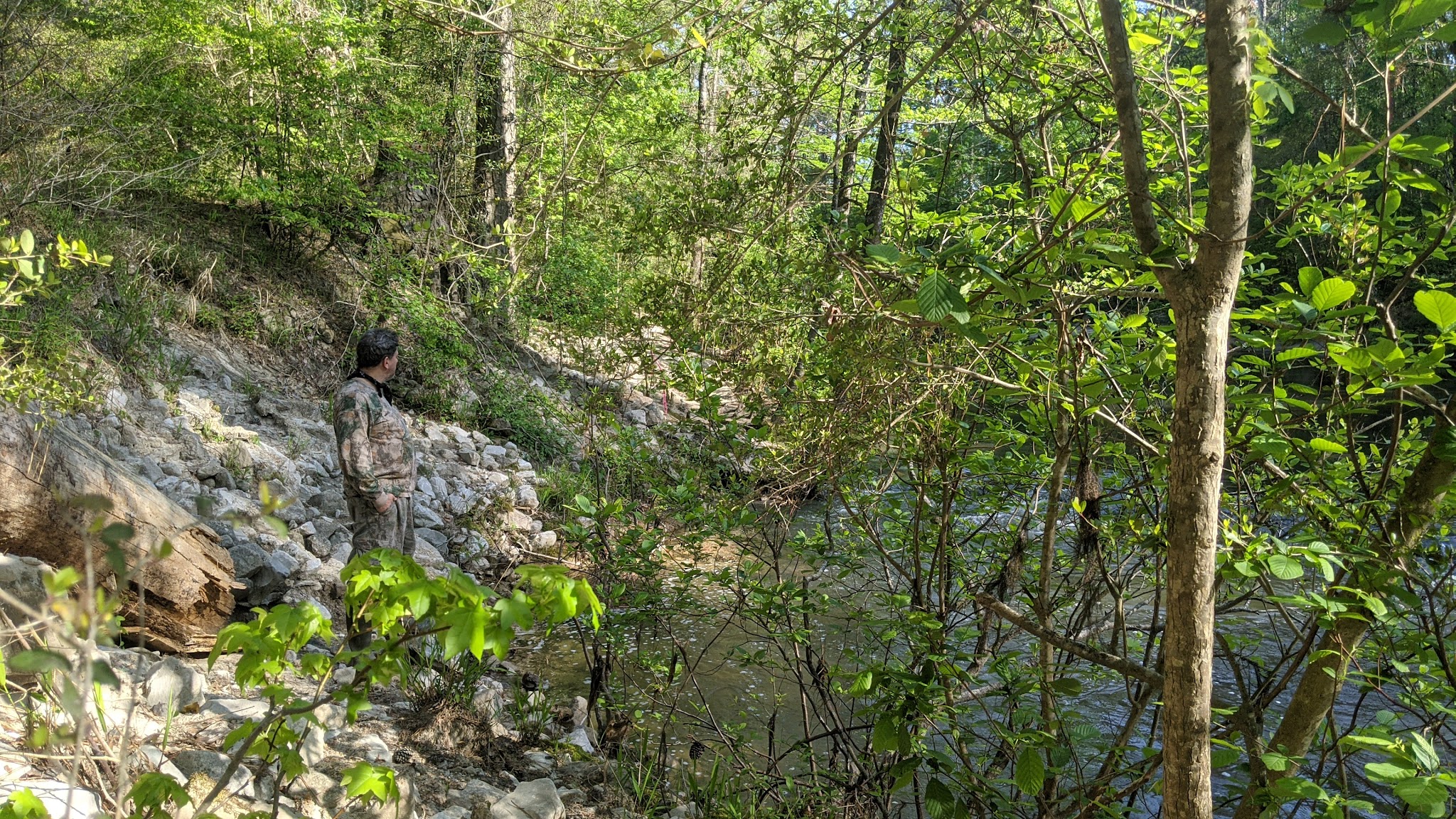 Kisatchie Bayou Recreation Area