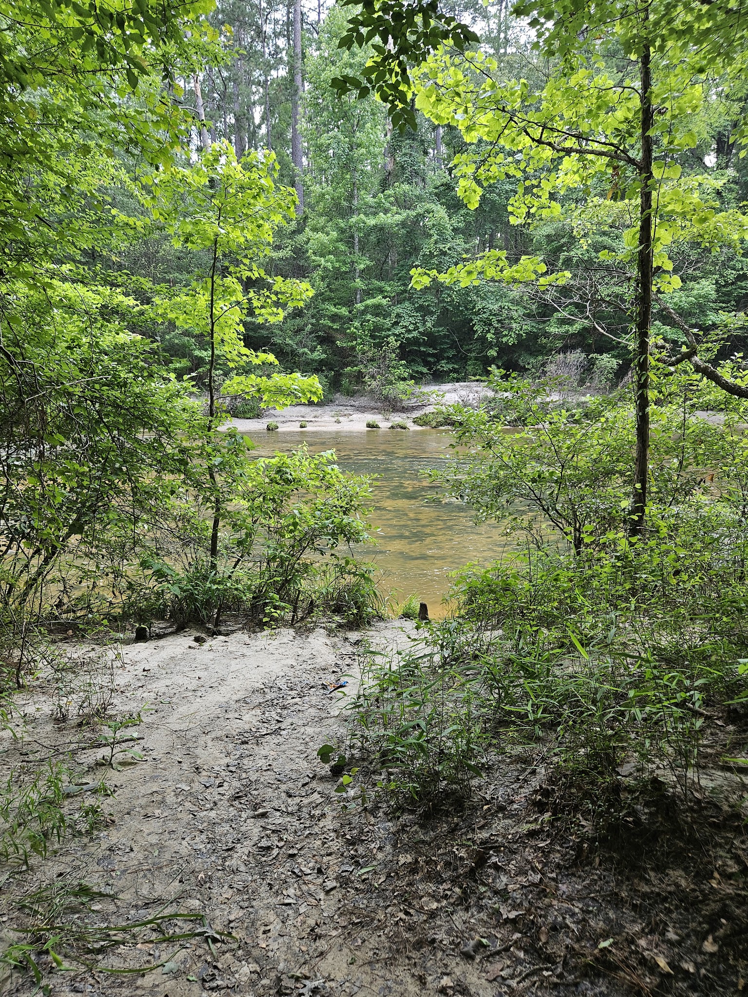 Kisatchie Bayou Recreation Area
