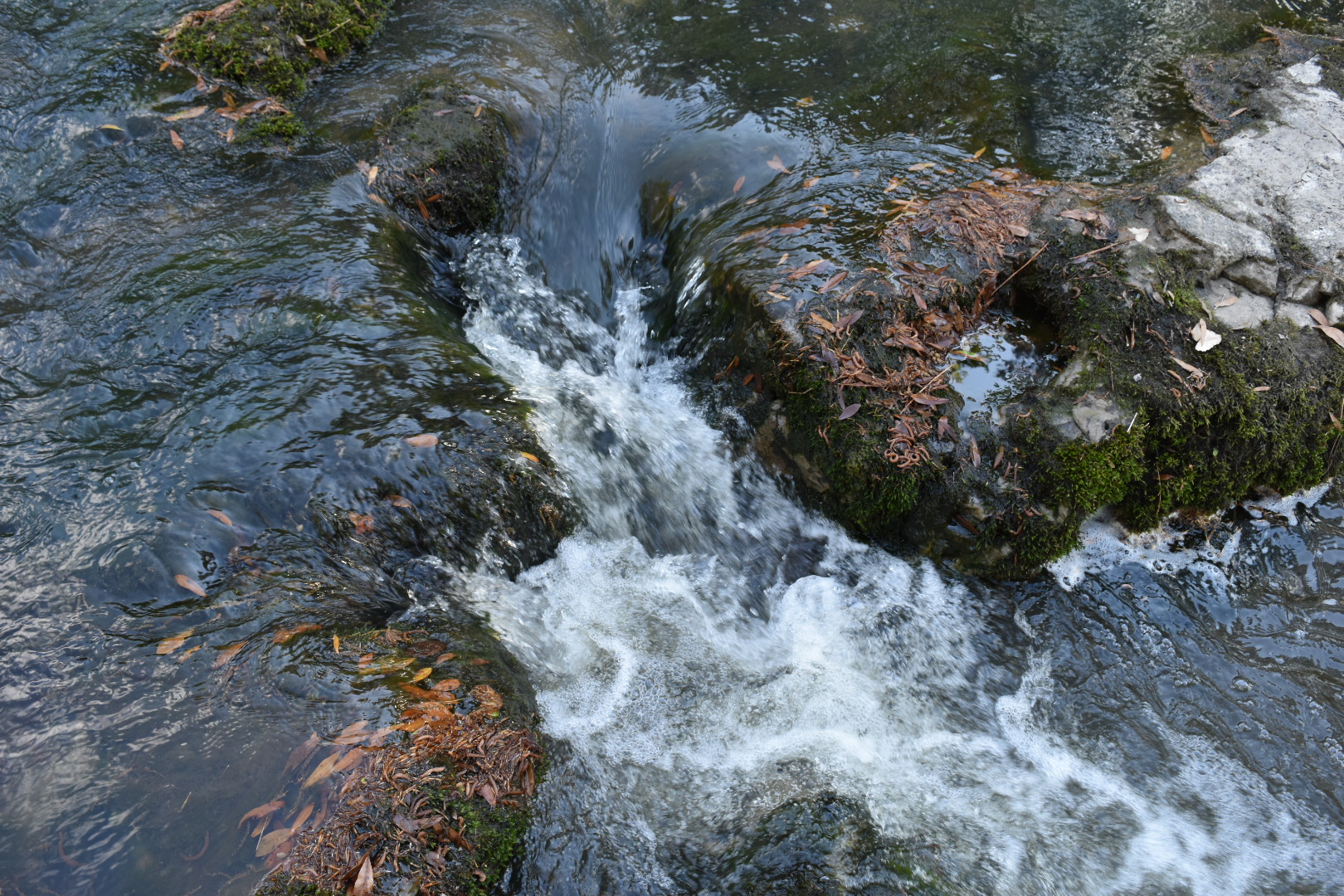 Kisatchie Bayou Recreation Area