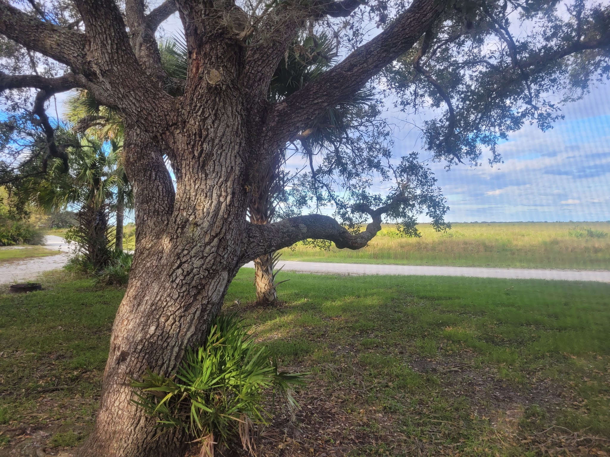 Kissimmee Prairie Preserve State Park Campground