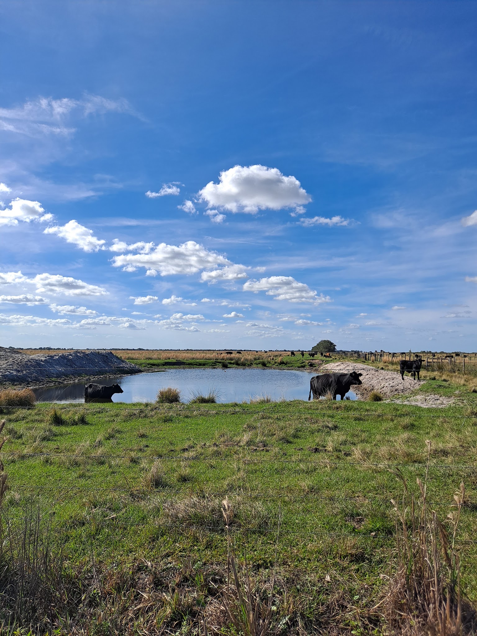 Kissimmee Prairie Preserve State Park Campground
