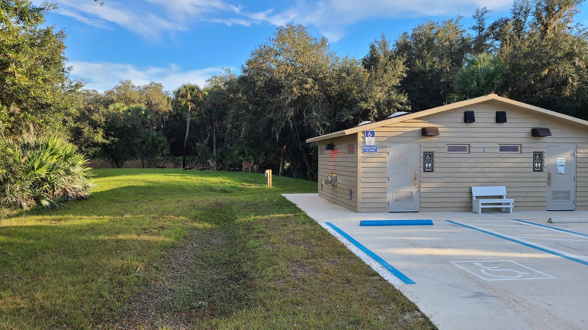 Kissimmee Prairie Preserve State Park Campground