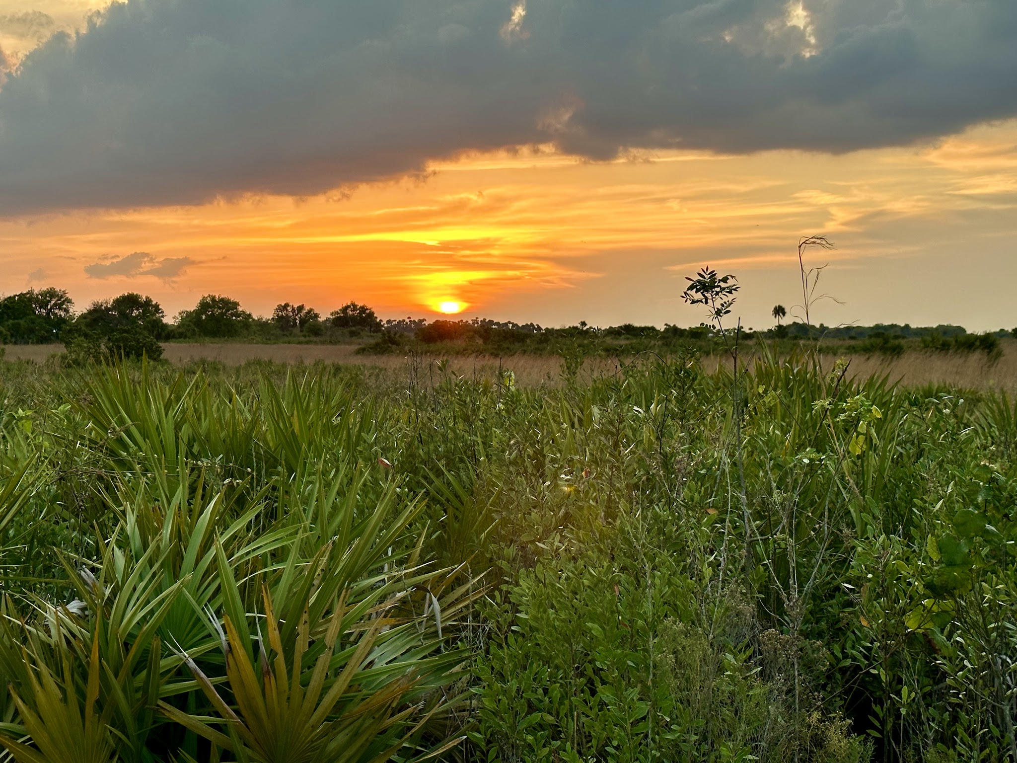 Hidden gem campgrounds in Florida