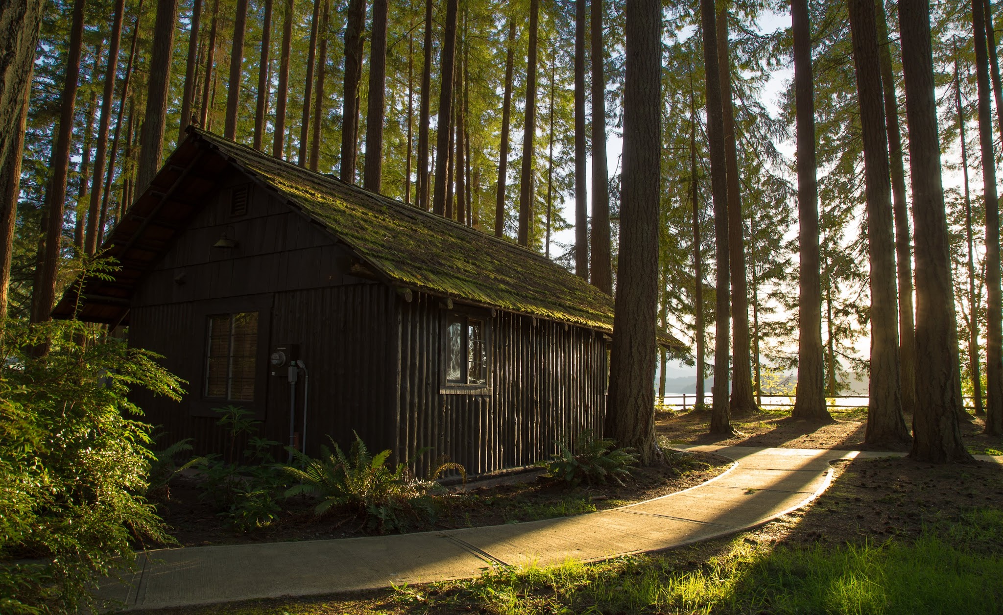 Kitsap Memorial State Park