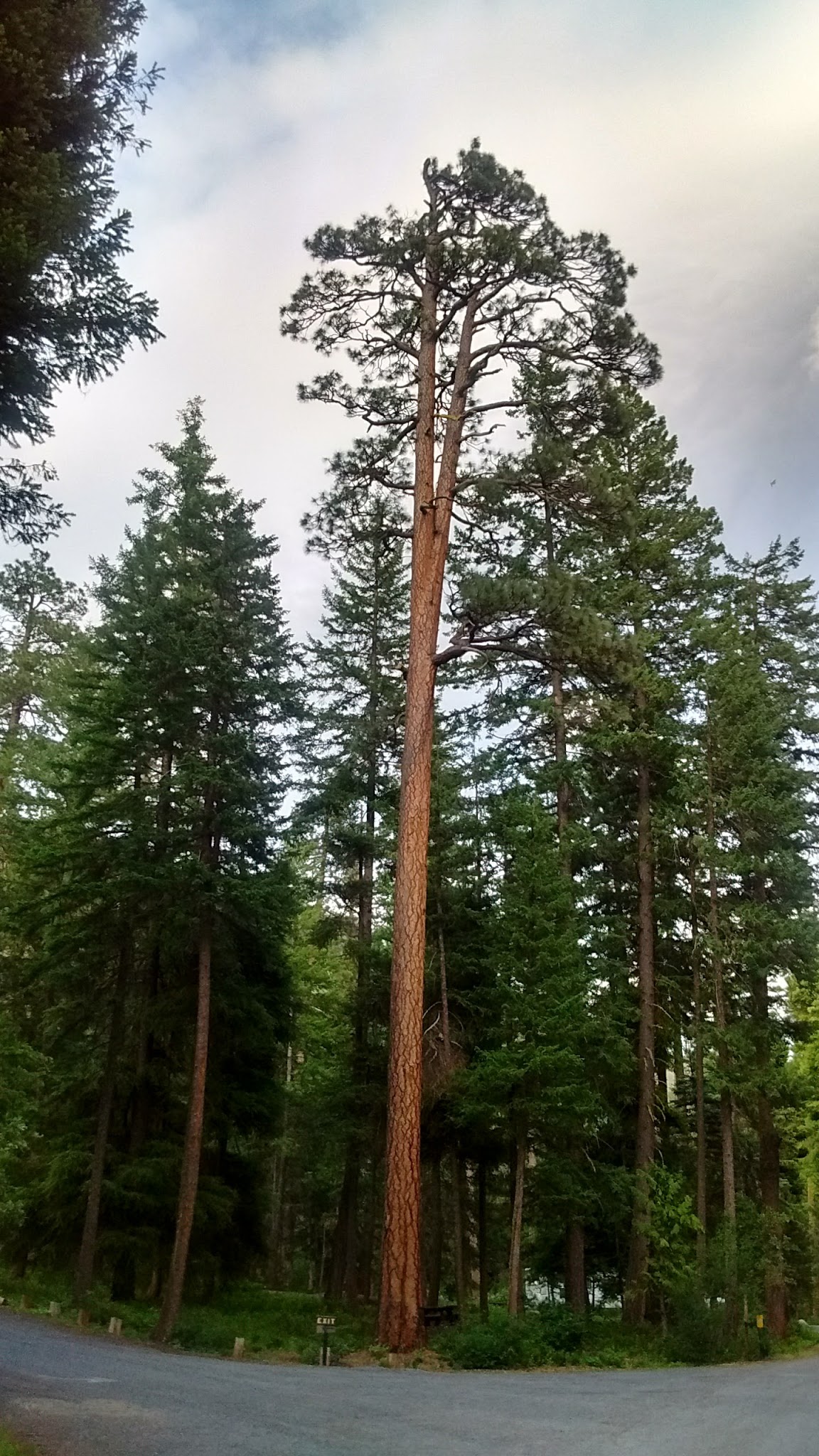 Klipchuck Campground