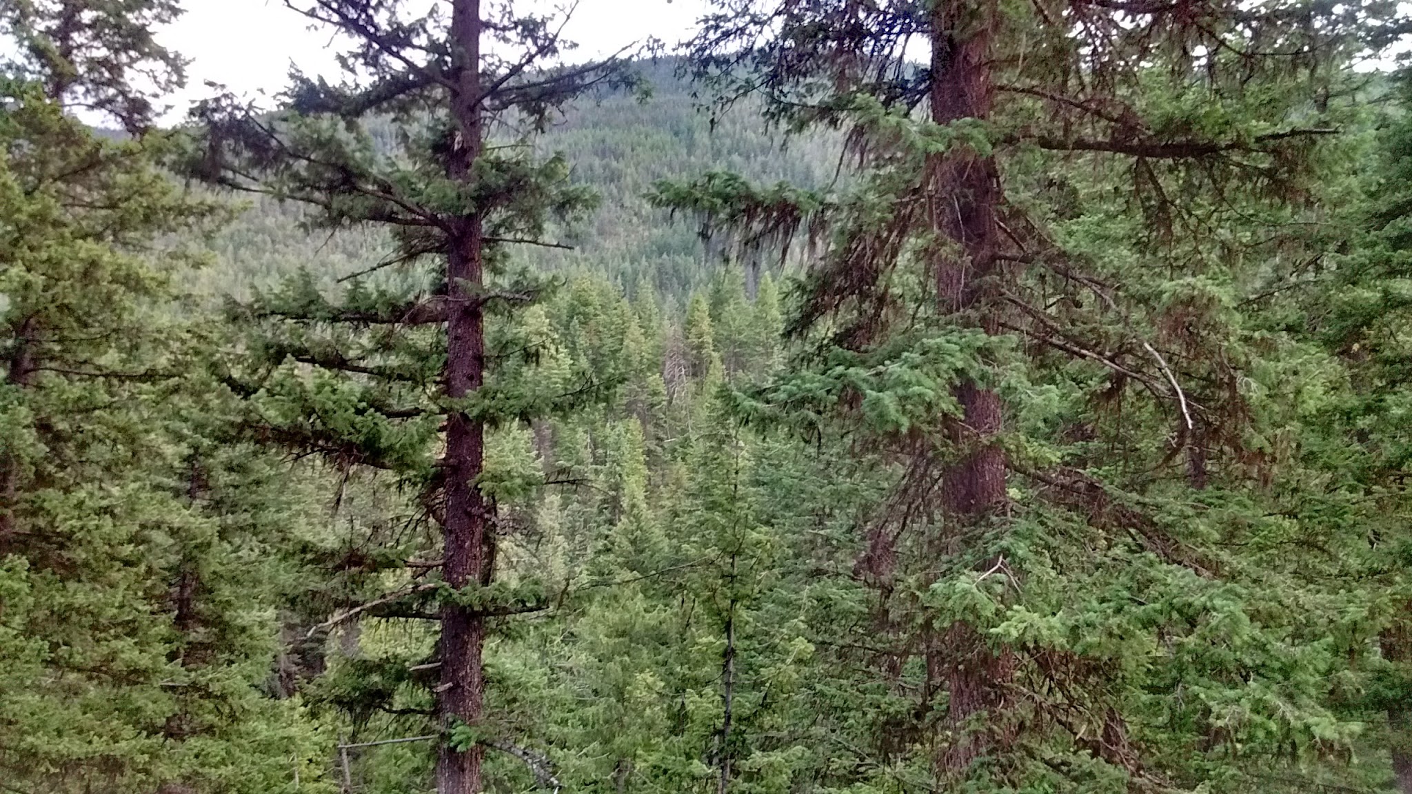 Klipchuck Campground