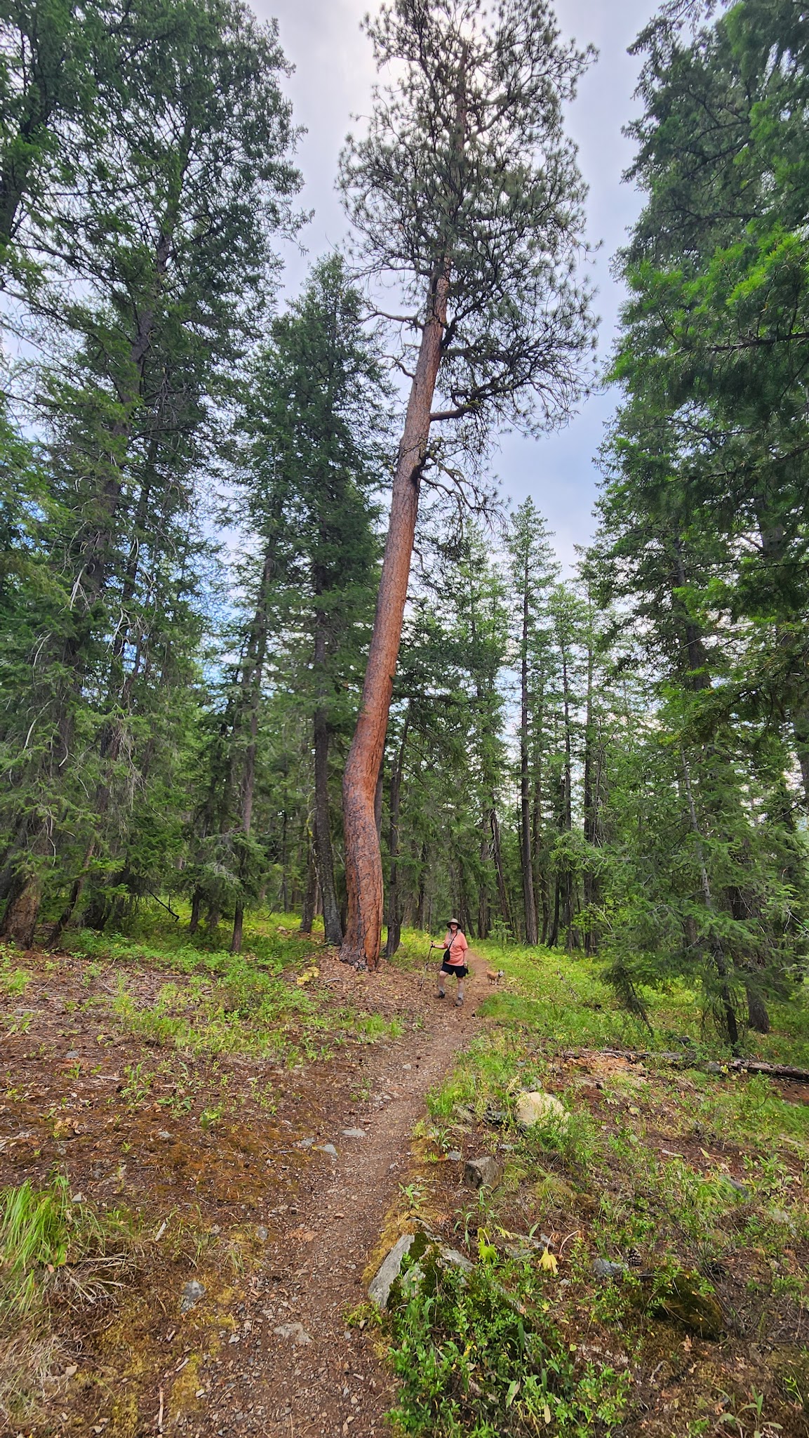 Klipchuck Campground