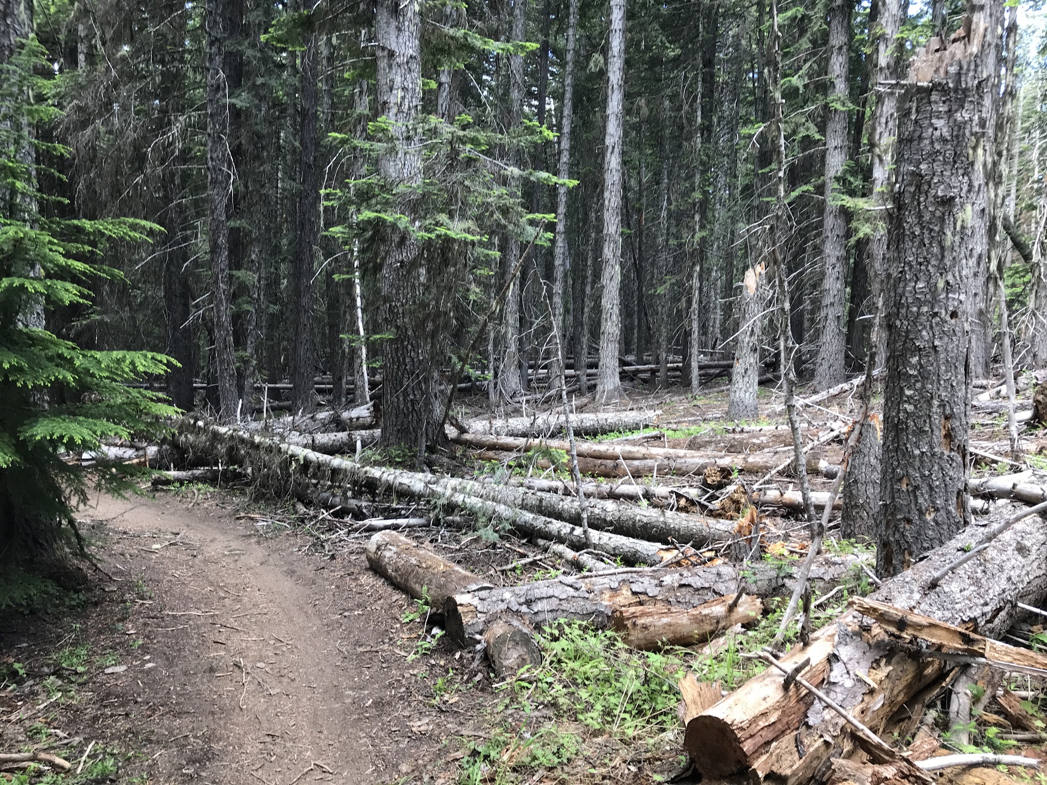 Knebal Springs Campground/Day Use