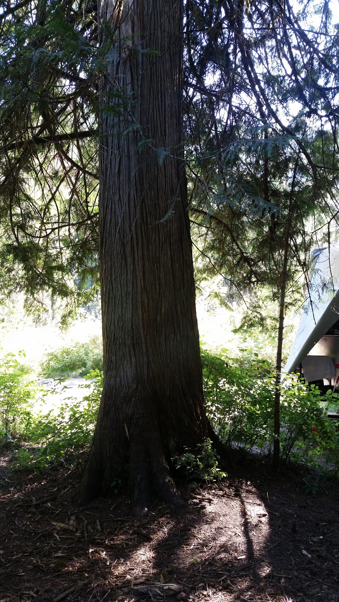 Knife Edge Campground And River Access