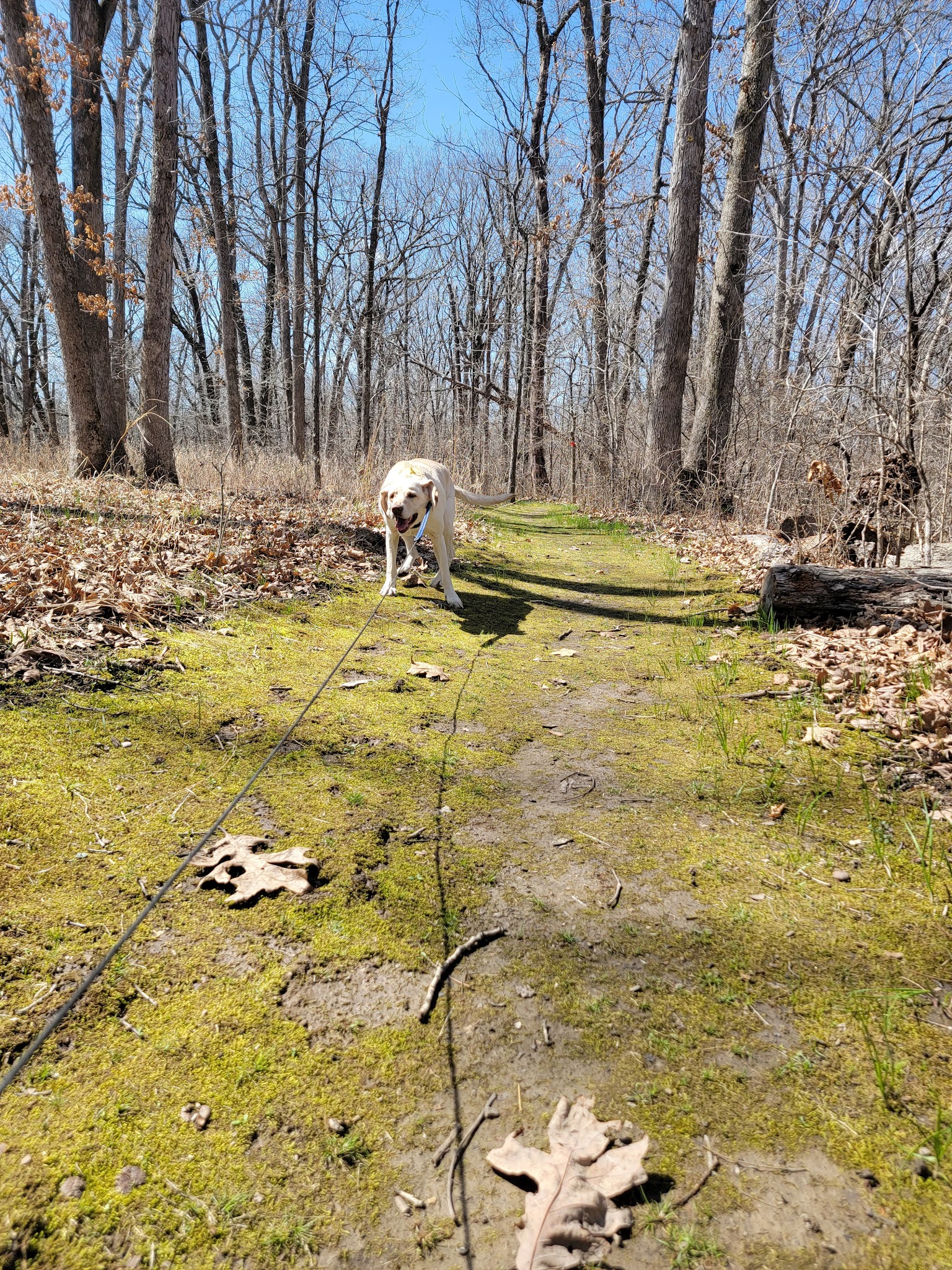 Backcountry Campground