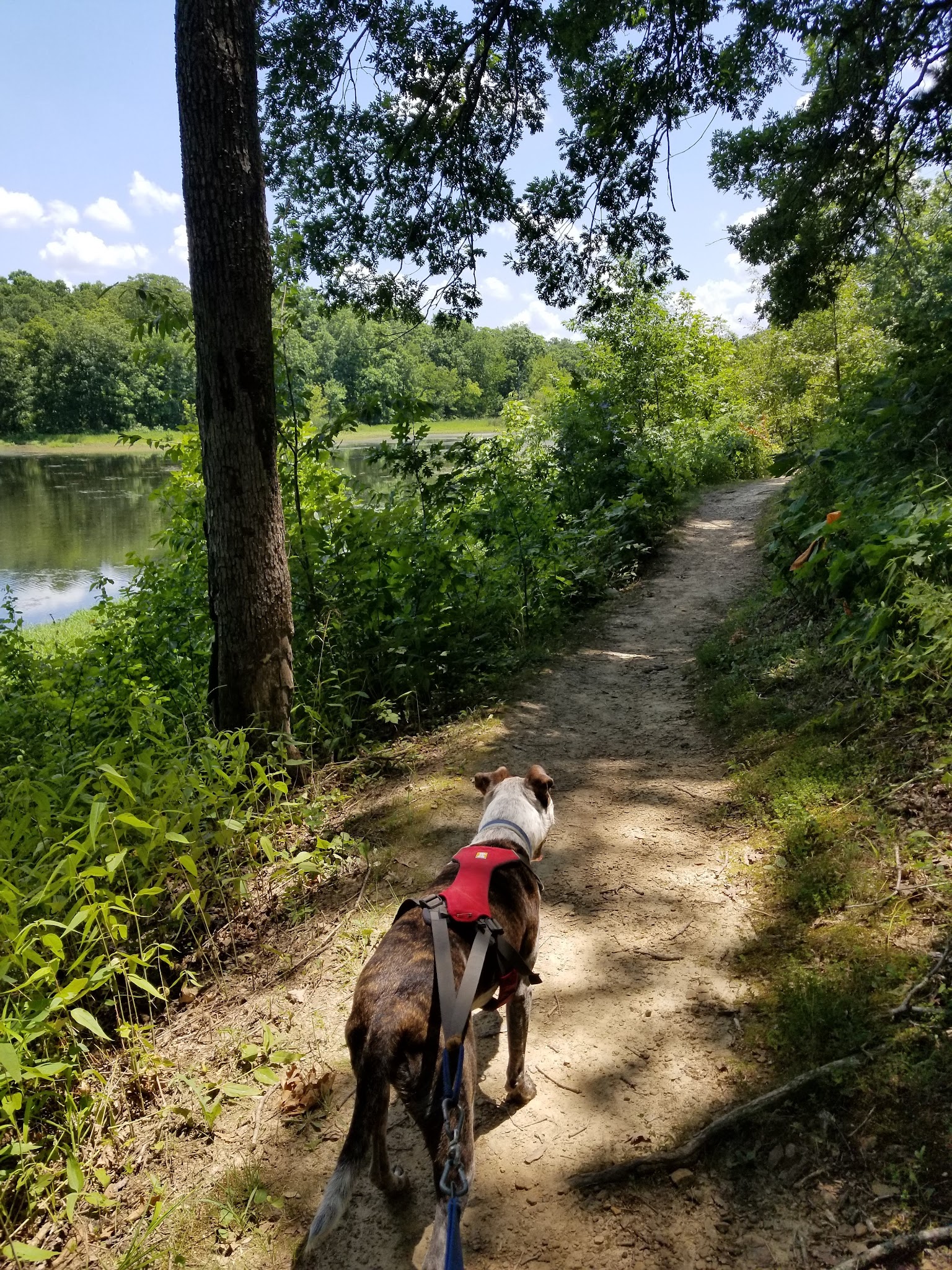 Backcountry Campground