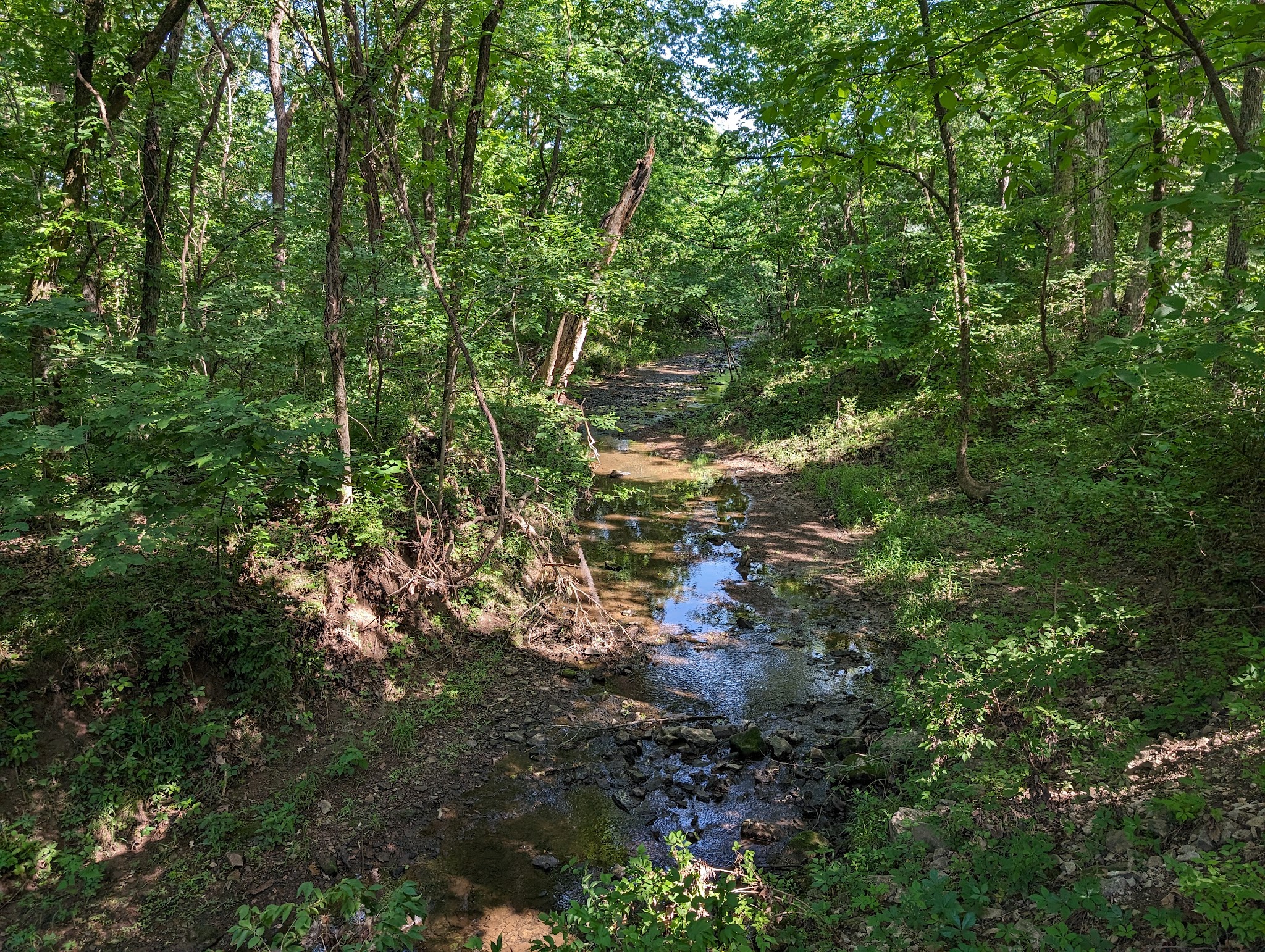 Backcountry Campground