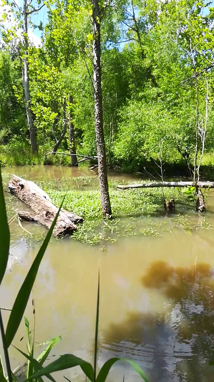 Backcountry Campground