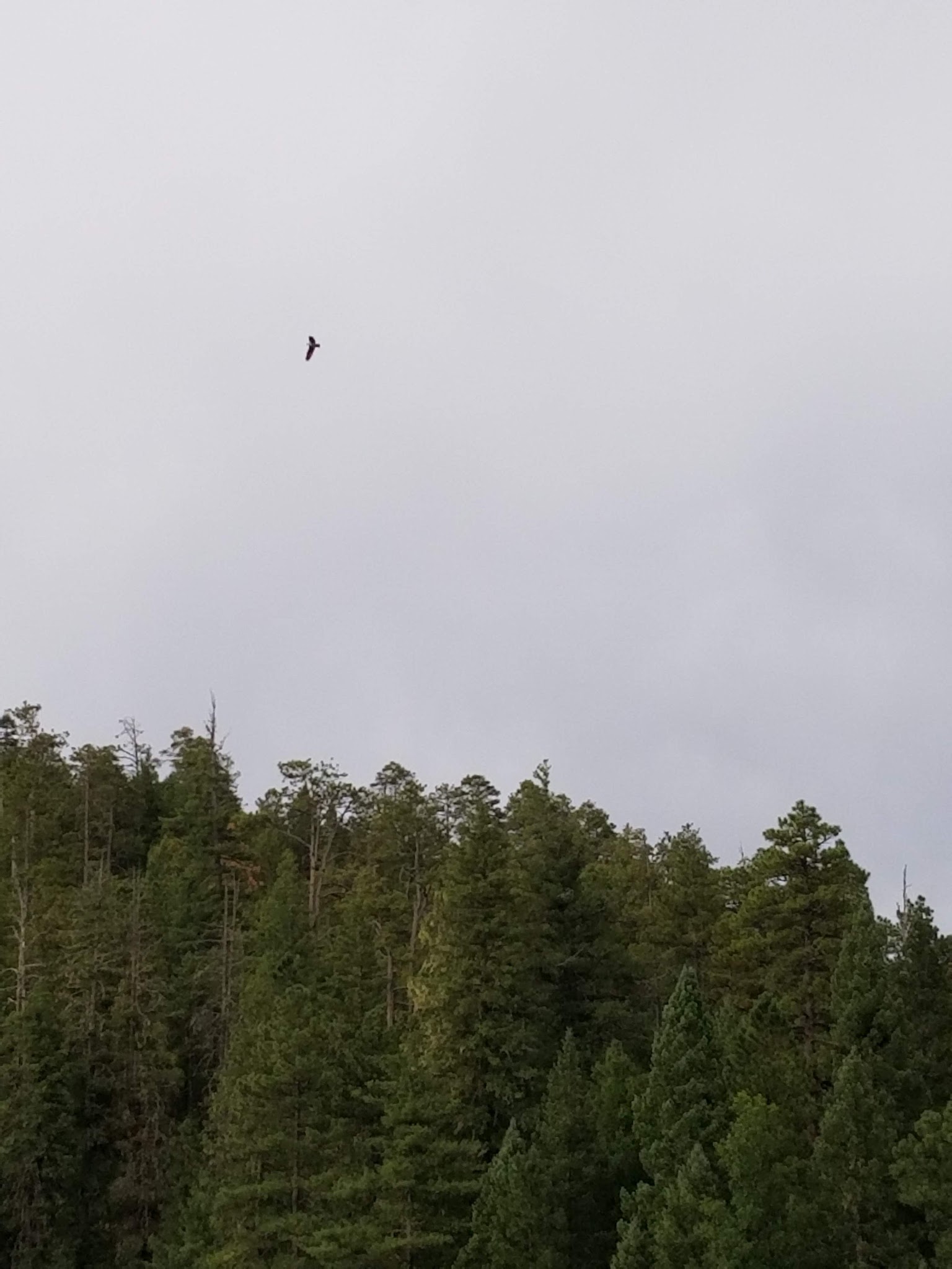 Knoll Lake Campground