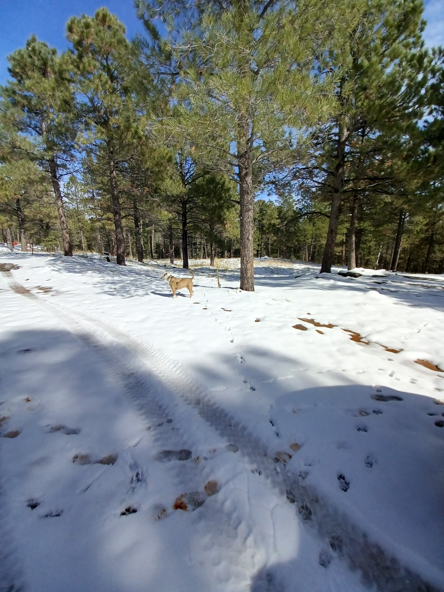 Knoll Lake Campground