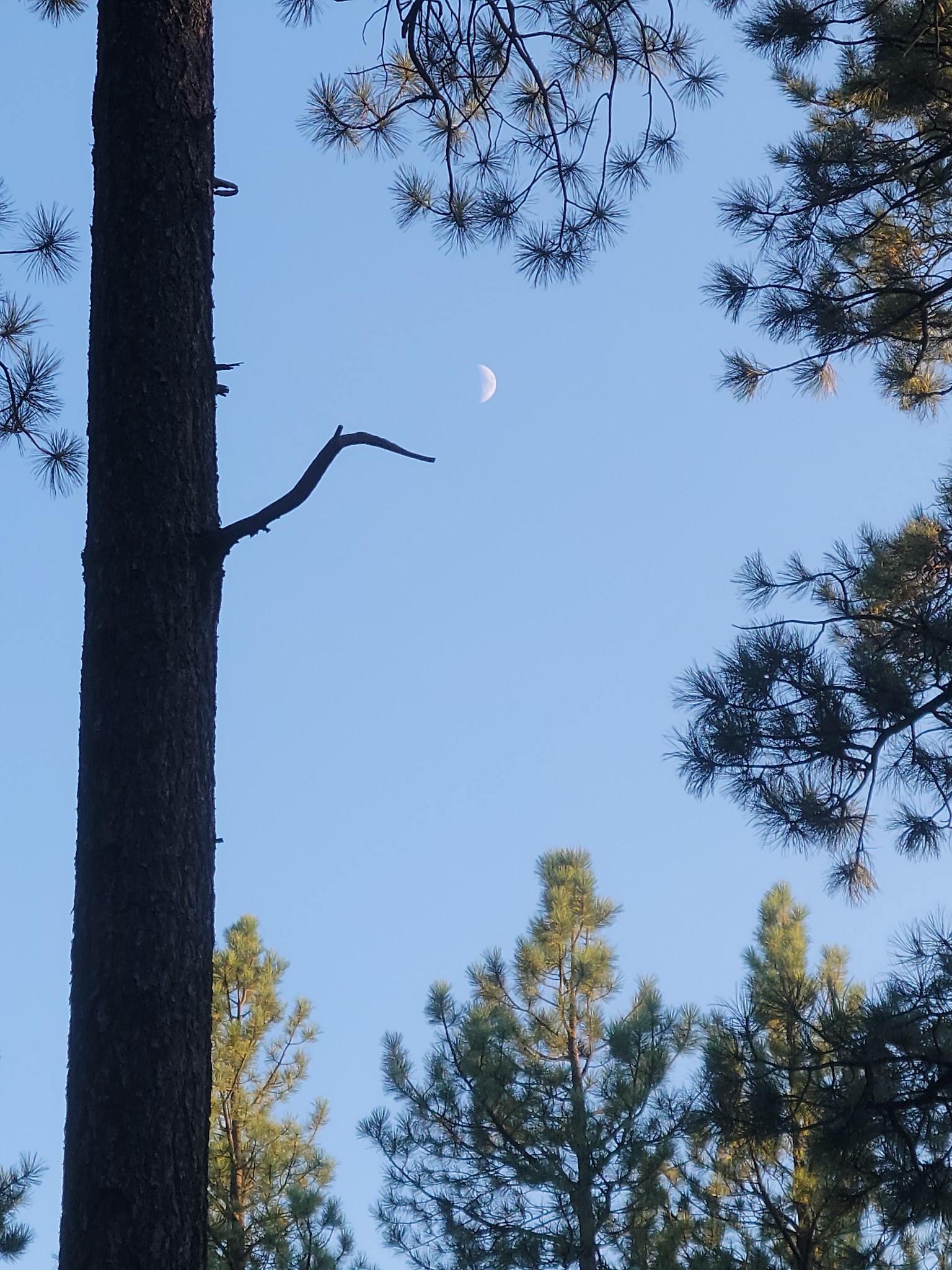 Knoll Lake Campground