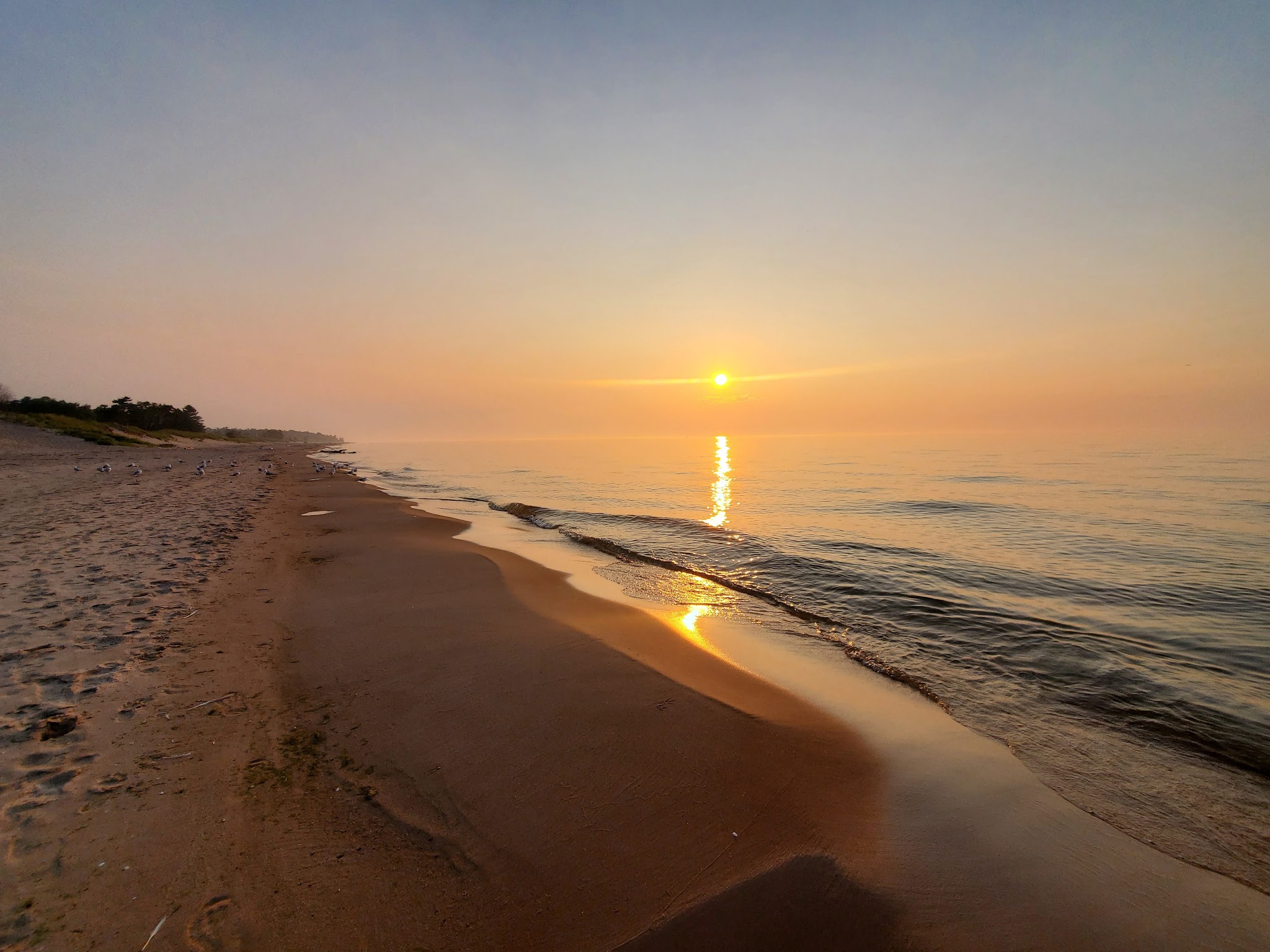 Kohler-Andrae State Park