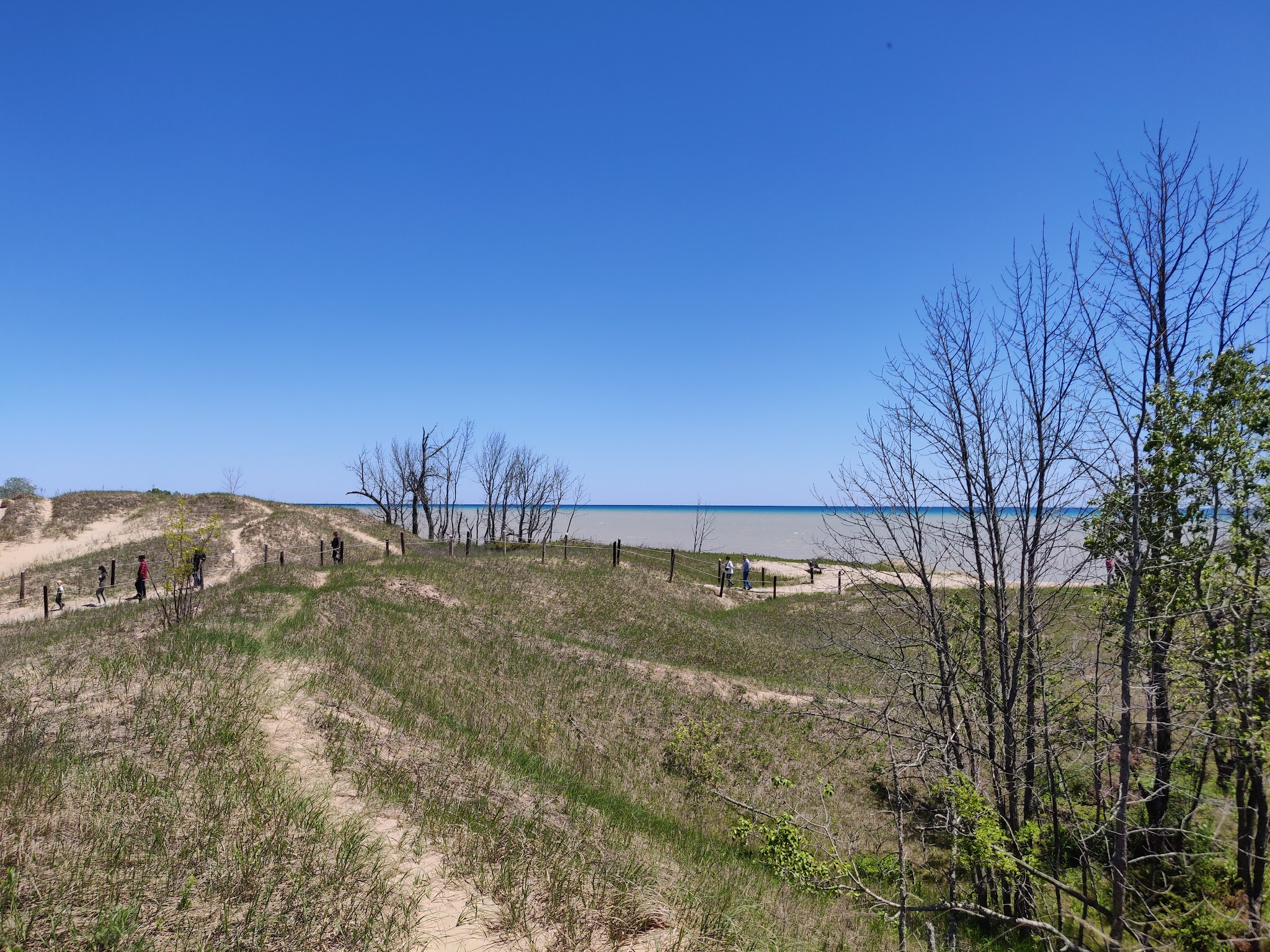 Kohler-Andrae State Park