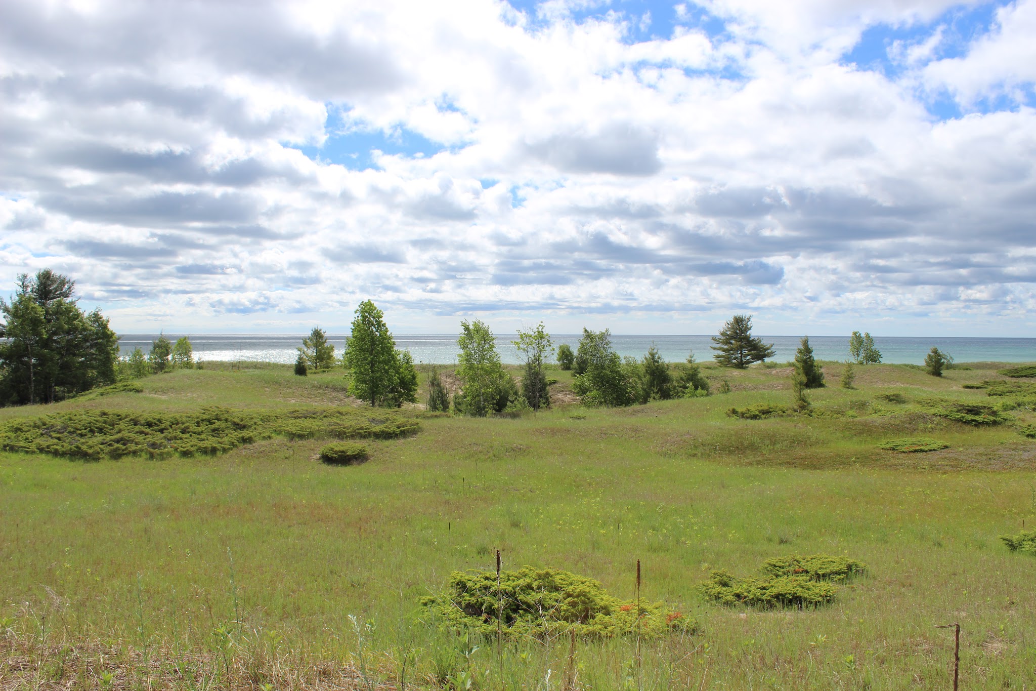Kohler-Andrae State Park