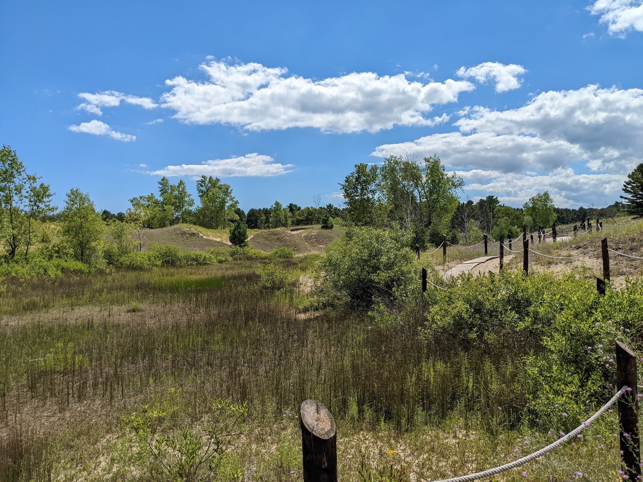 Kohler-Andrae State Park