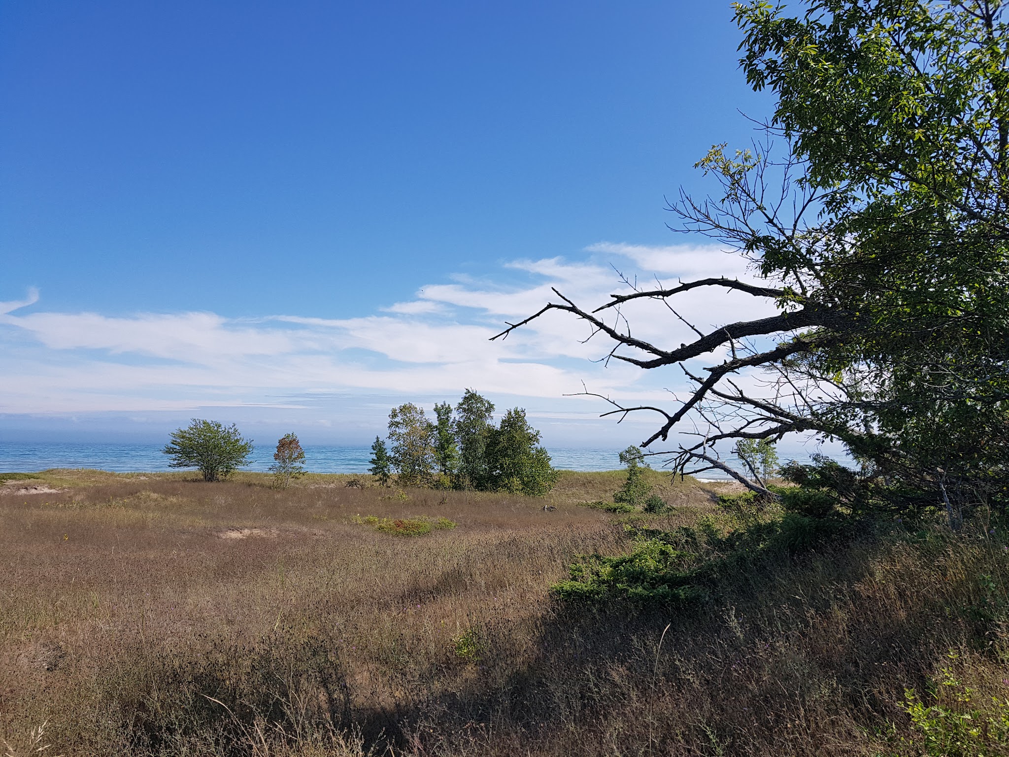 Kohler-Andrae State Park