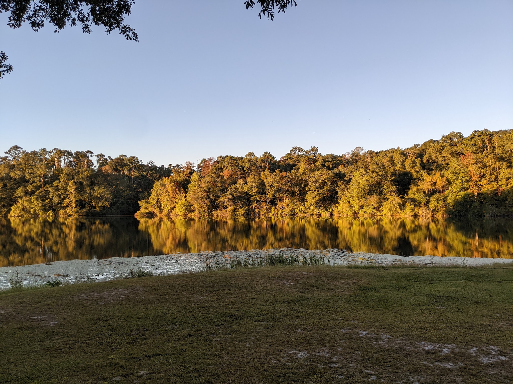 Kolomoki Mounds State Historic Park