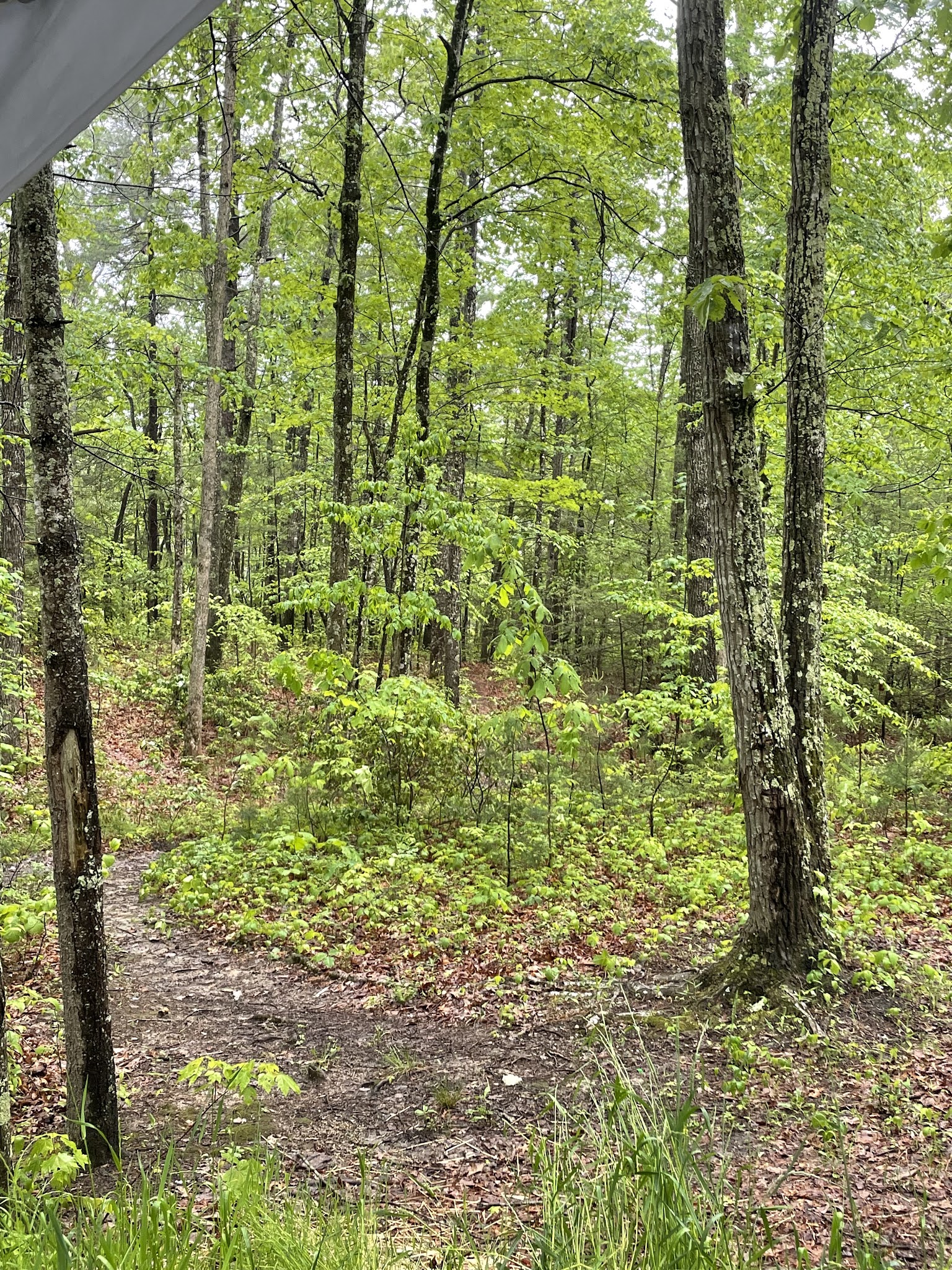 Koomer Ridge Campground