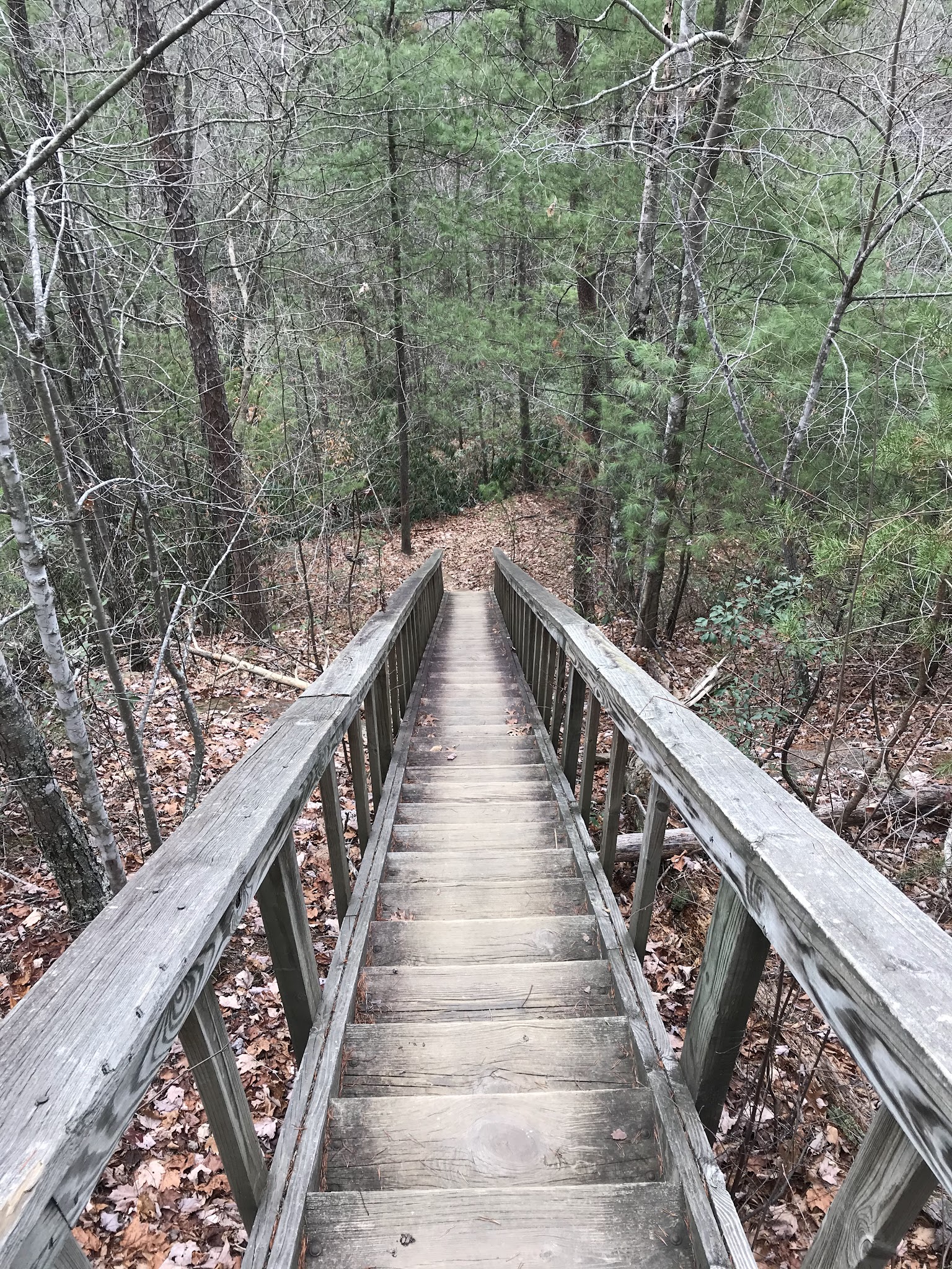 Koomer Ridge Campground