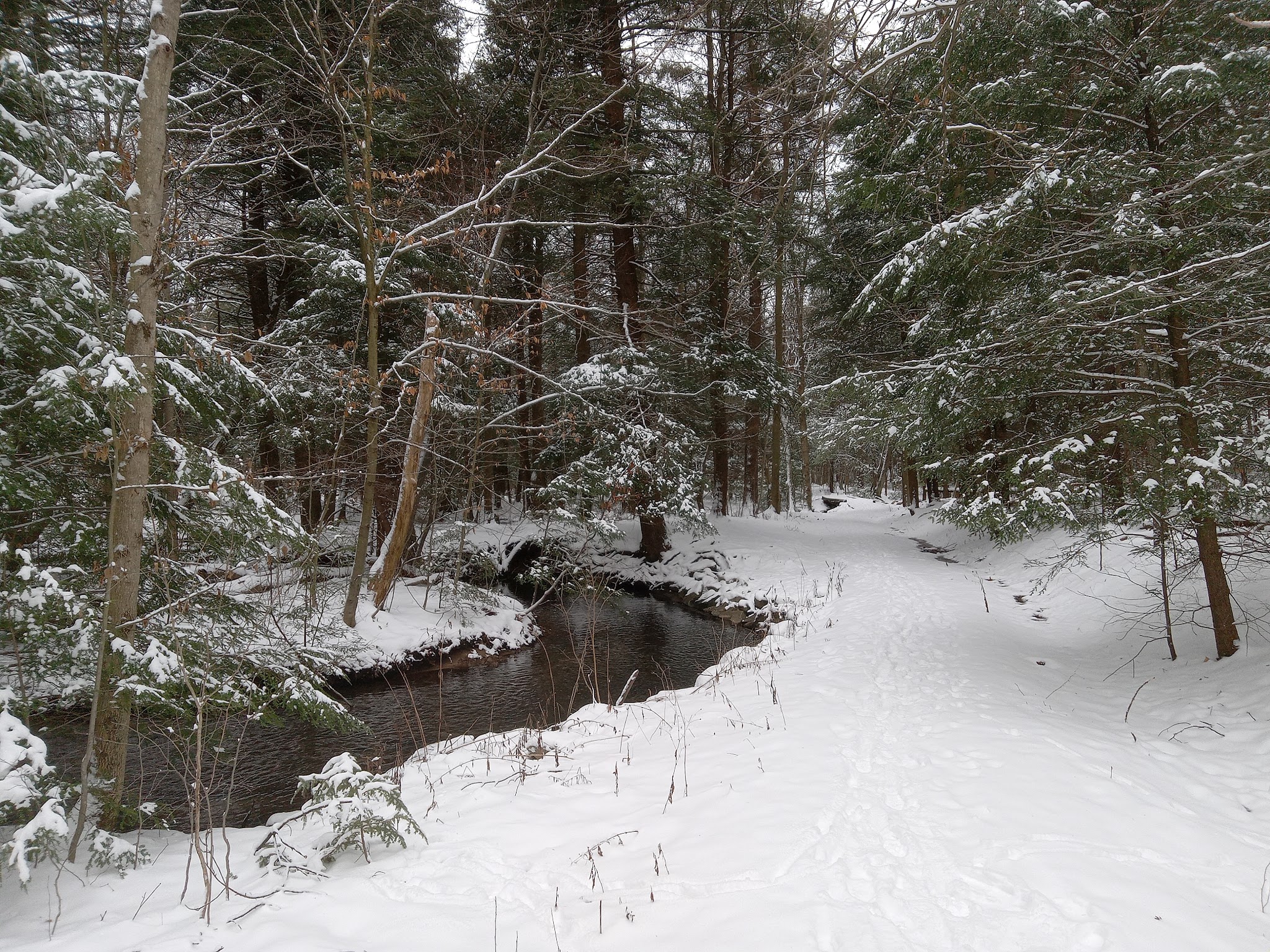 Kooser State Park