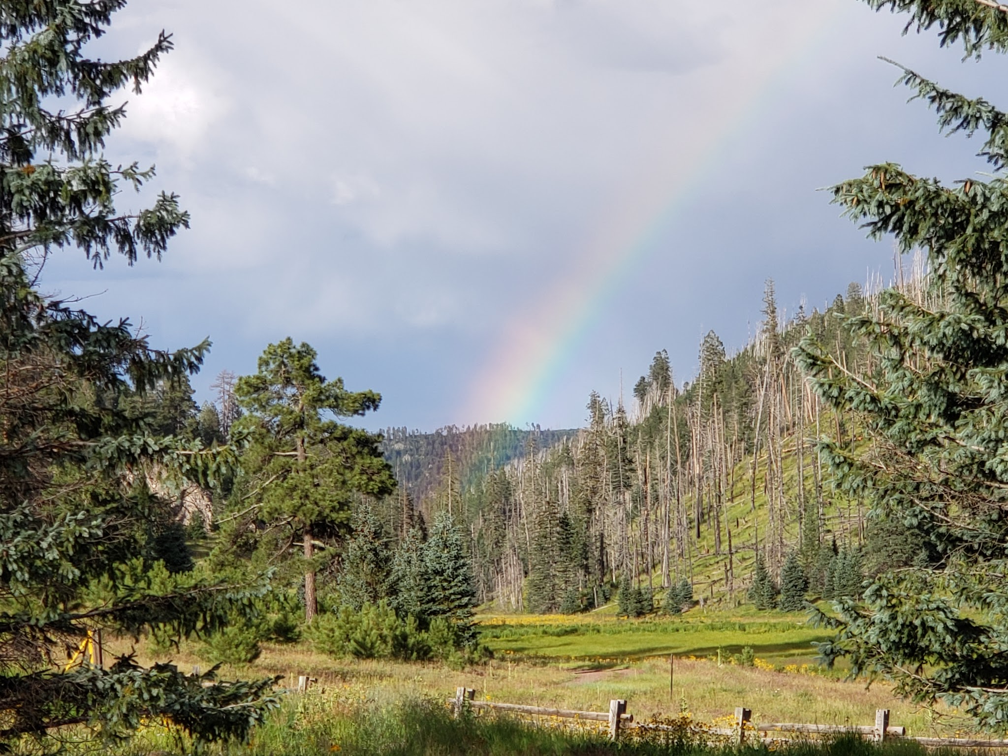 Kp Cienega Campground