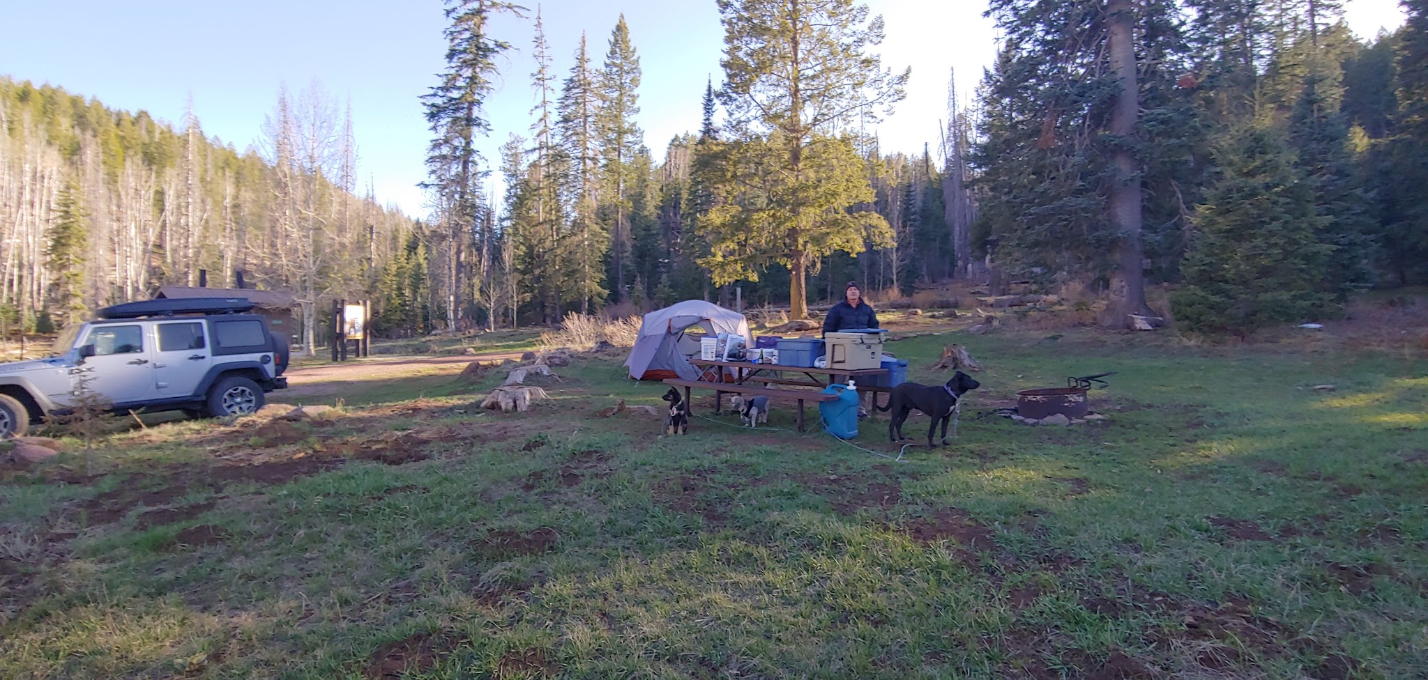 Kp Cienega Campground