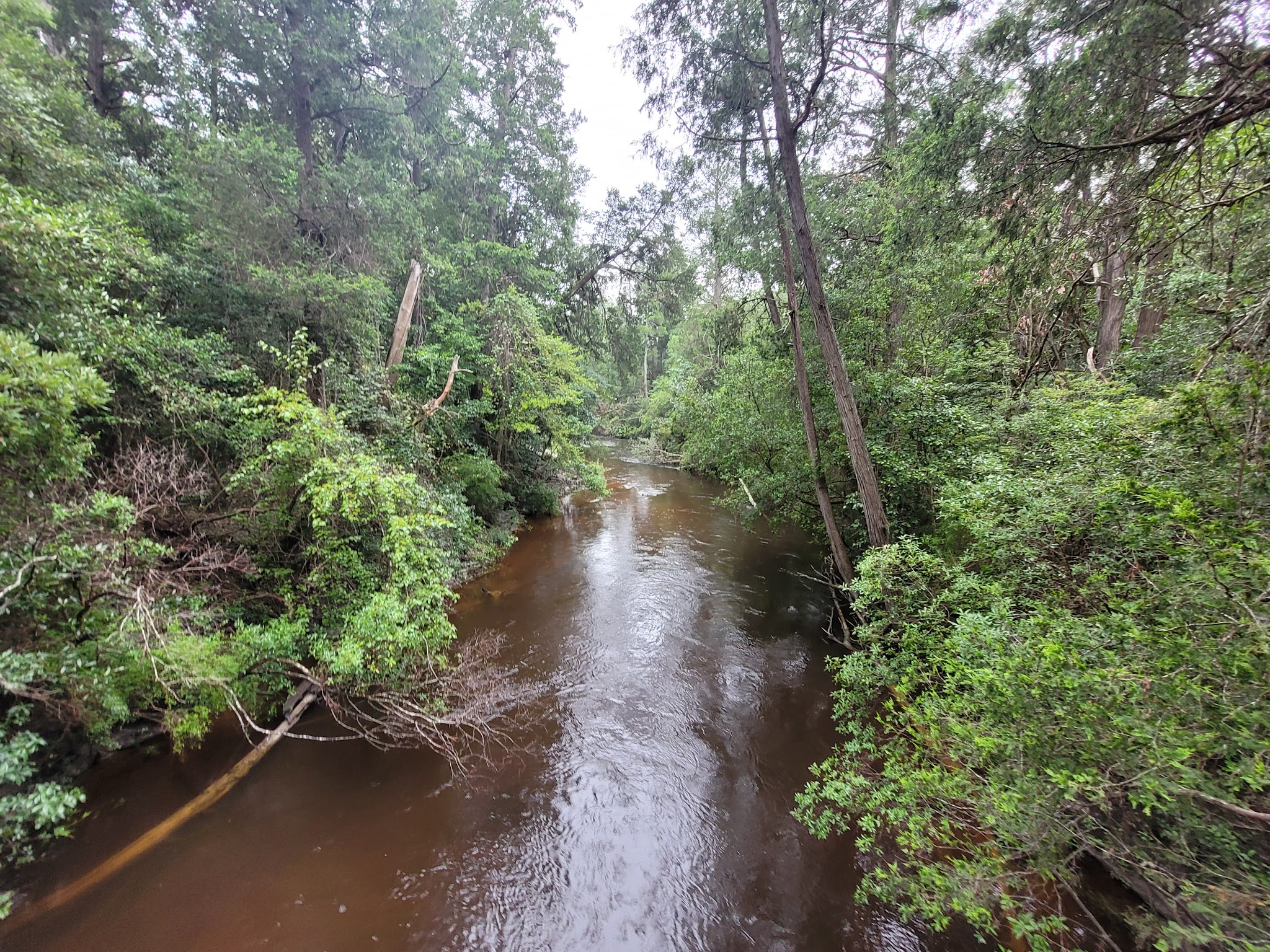Krul Campground Blackwater River State Forest