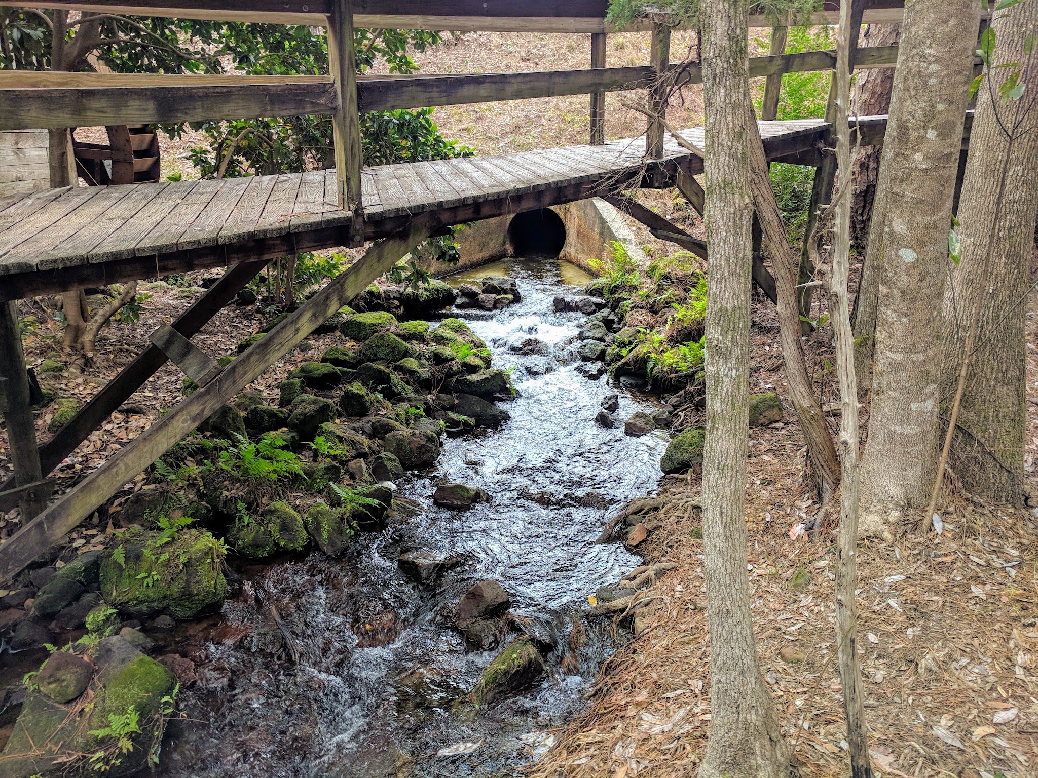 Krul Campground Blackwater River State Forest