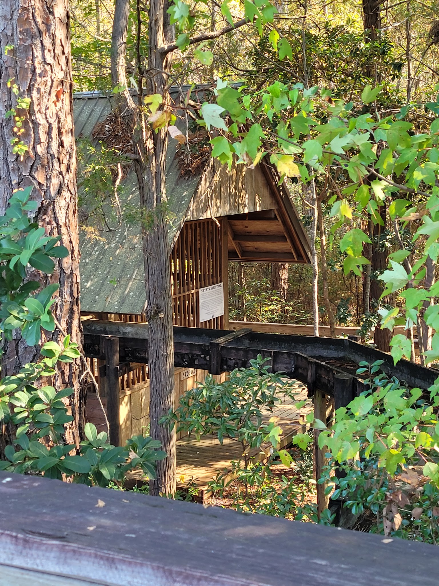 Krul Campground Blackwater River State Forest