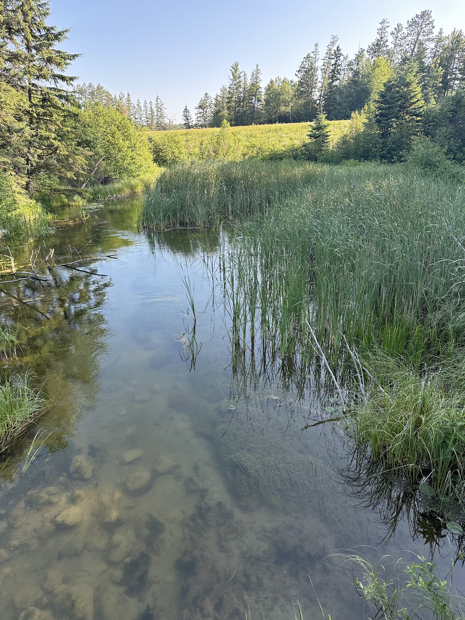 La Salle Lake Campground
