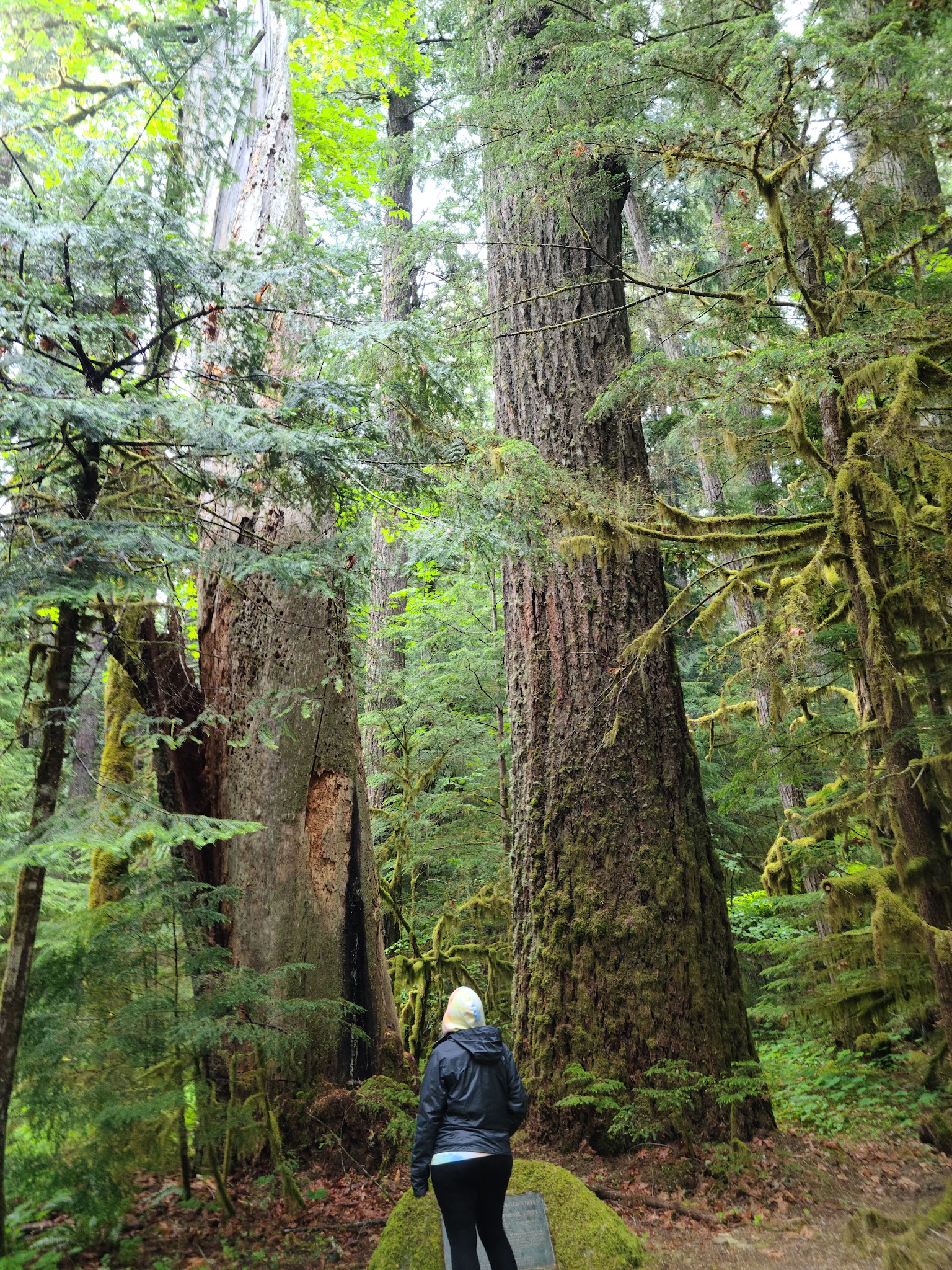 La Wis Wis Campground